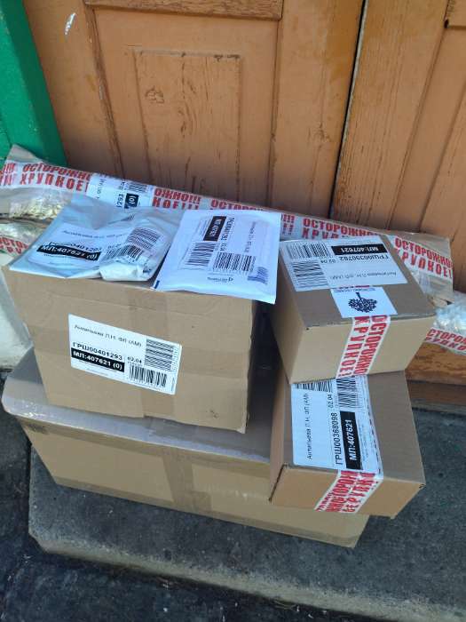 Фотография покупателя товара Семенной картофель "Шарпс Экспресс", белая мякоть, разбор 28/55, ранний, Весна 2026 - Фото 1