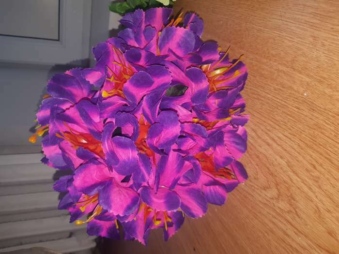Фотография покупателя товара Цветы искусственные "Бегония криспа" d-11 см 27 см, сиреневый