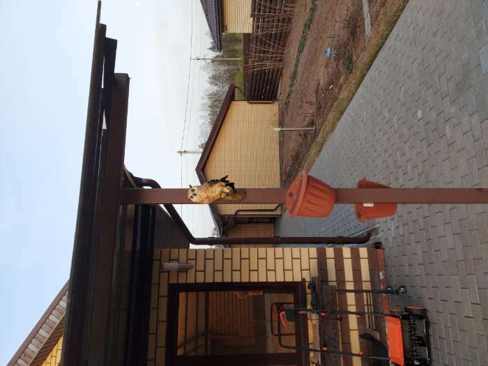 Фотография покупателя товара Подвесной декор «Филин»,11.5×11.5×24.5 см - Фото 8