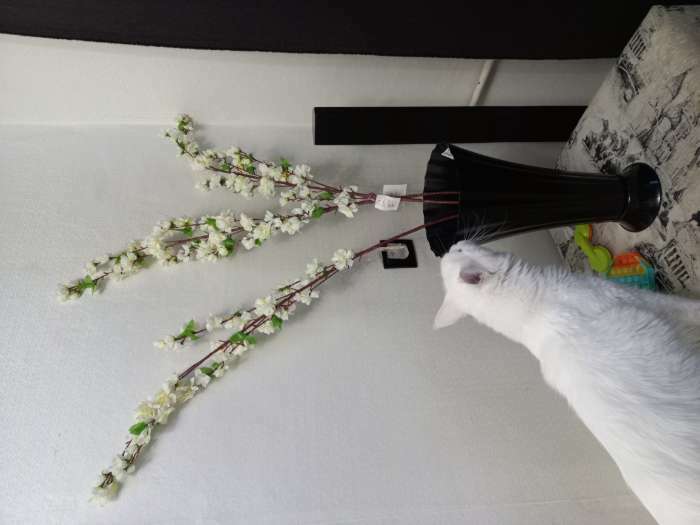 Фотография покупателя товара Цветы искусственные "Сакура нежность" 105 см, белый - Фото 2