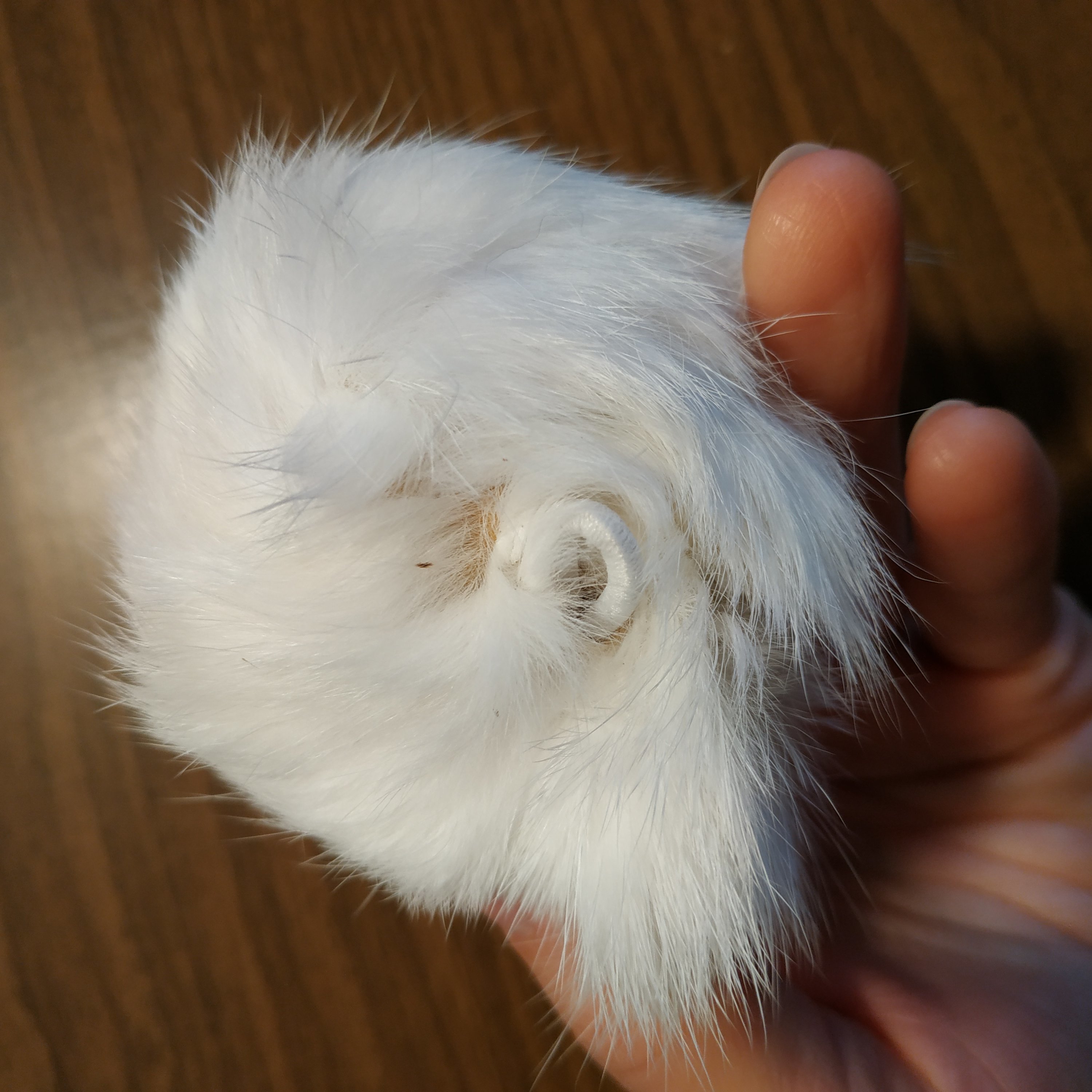 Фотография покупателя товара Помпон из натурального меха зайца, размер 1 шт: 8 см, цвет белый - Фото 3