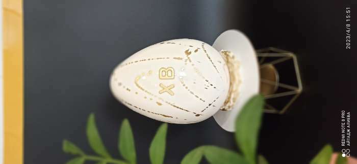 Фотография покупателя товара Форма для шоколада и конфет «Яйцо», 22×16×8 см, пластик, прозрачная - Фото 3