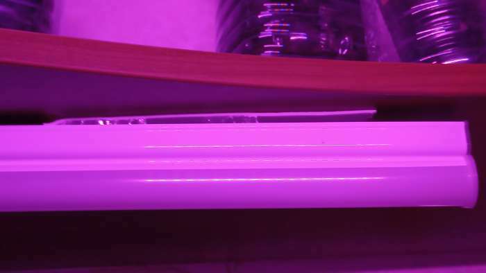 Фотография покупателя товара Клейкая лента двусторонняя, на вспененной основе, 18 мм х 3.5 м, в блистере с европодвесом - Фото 1