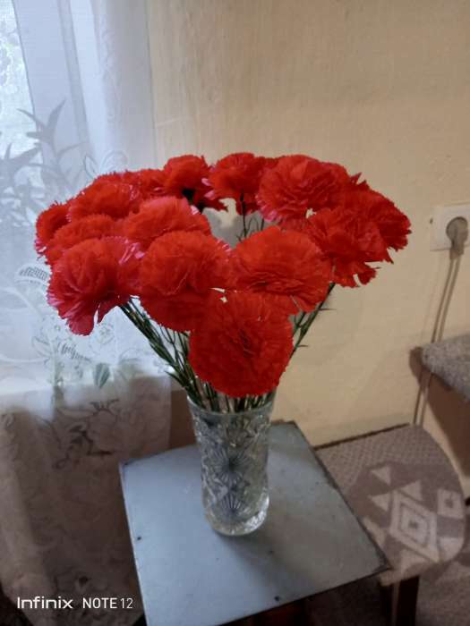Фотография покупателя товара Цветы искусственные "Гвоздика" 37 см, красный - Фото 1