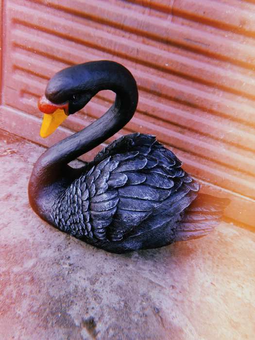 Фотография покупателя товара Садовая фигура "Лебедь" черный, 34х25х40см - Фото 4