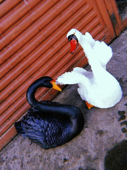 Фотография покупателя товара Садовая фигура "Лебедь" черный, 34х25х40см - Фото 2