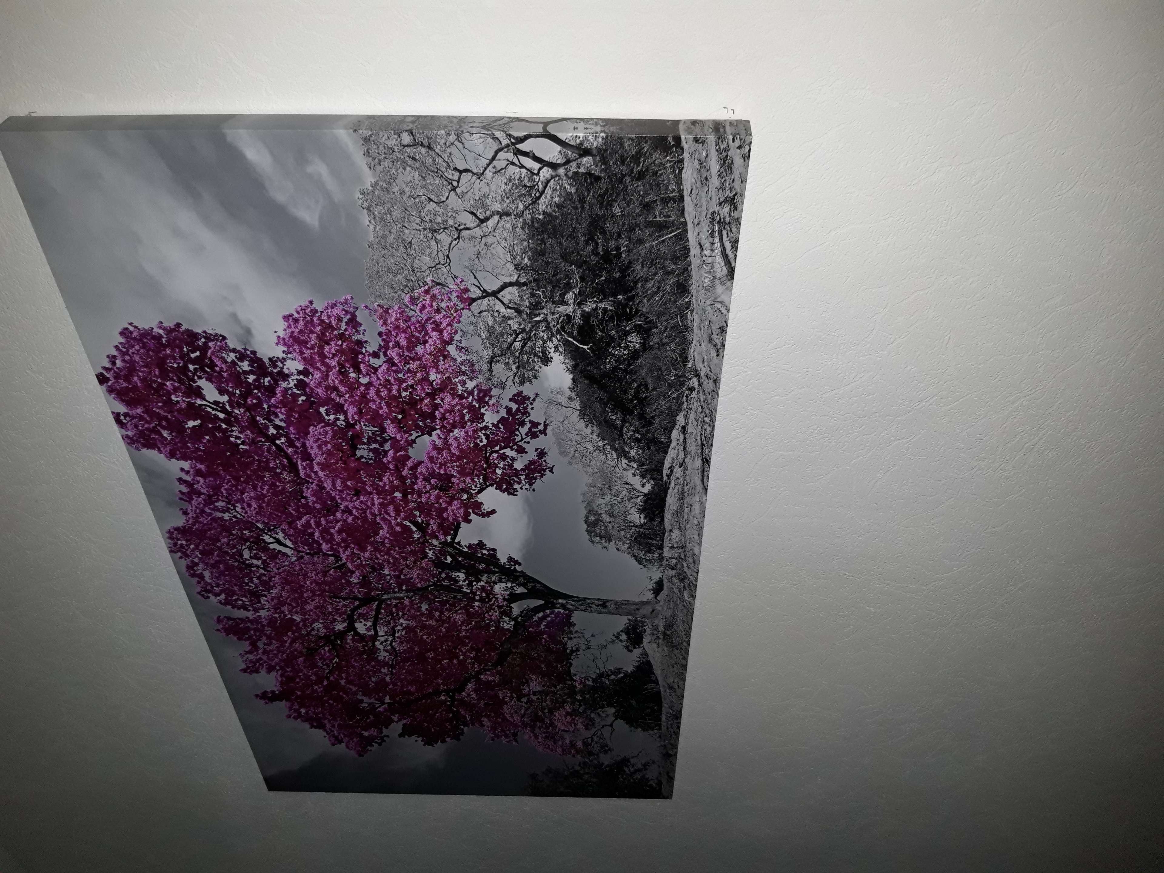 Фотография покупателя товара Картина на холсте "Цветущее дерево" 60*100 см