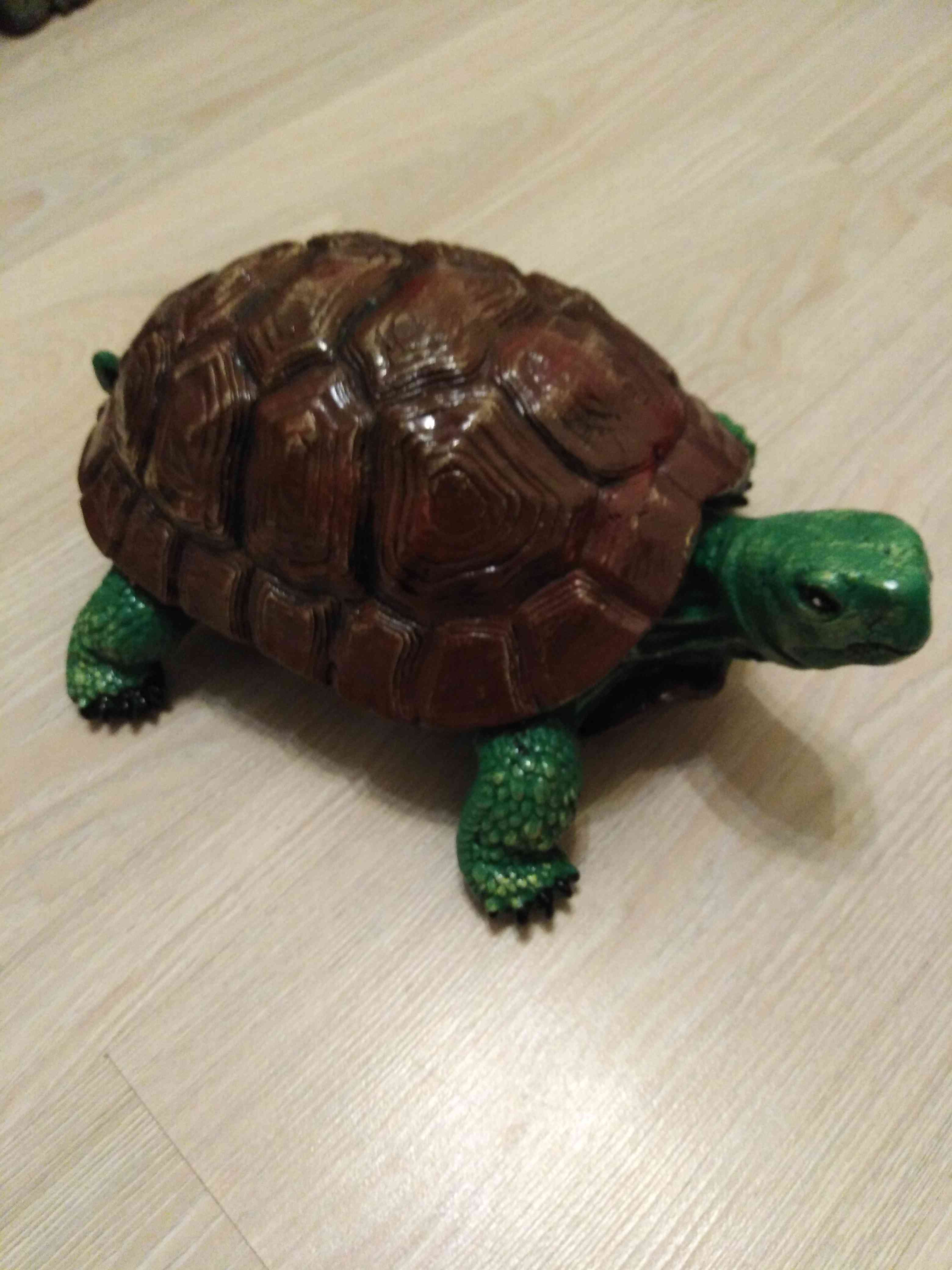 Фотография покупателя товара Садовая фигура "Черепаха", большая, зелёный цвет, 31х24х14 см - Фото 1