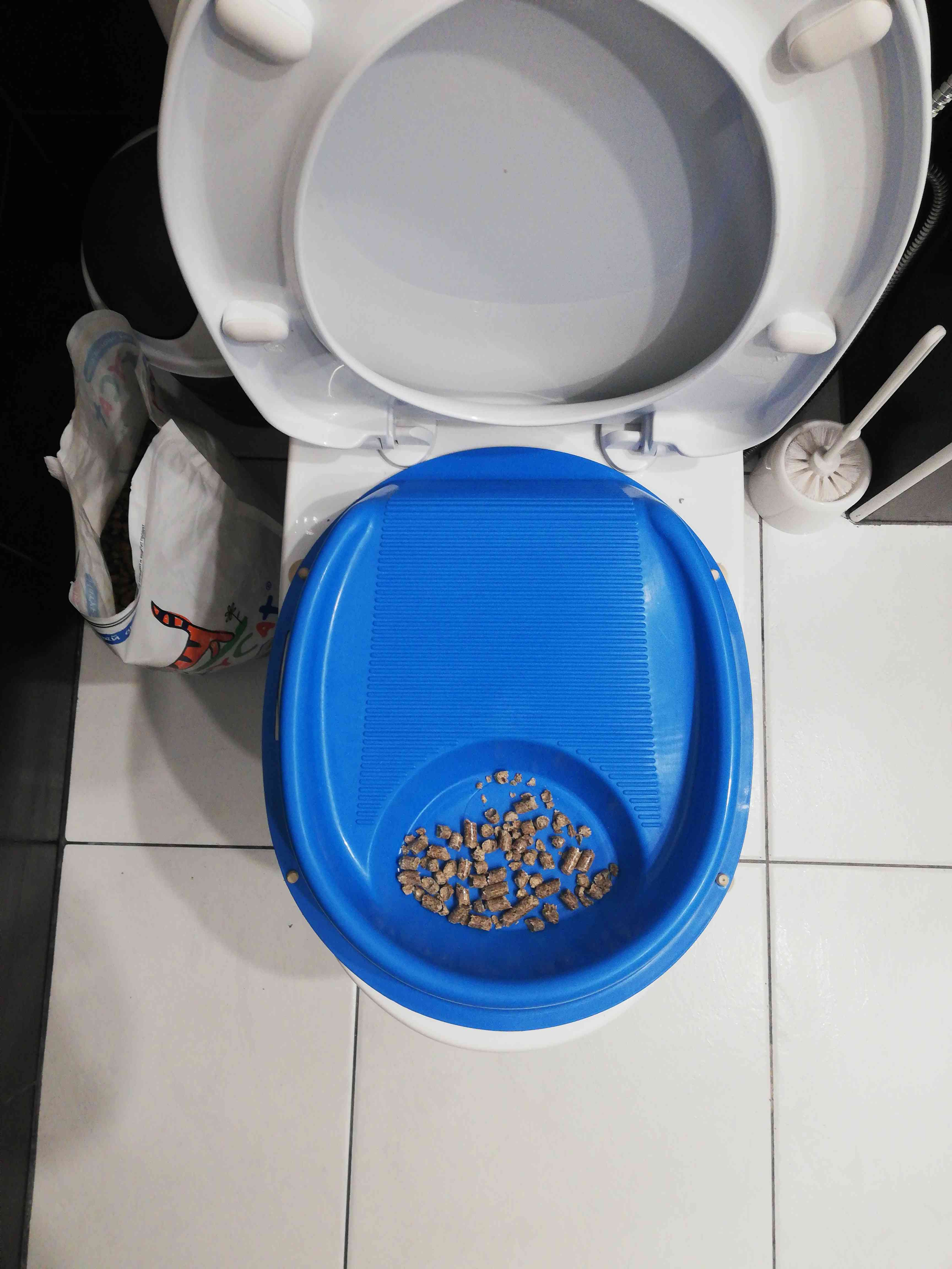 Фотография покупателя товара Туалет приучающий Зооник, поддон 33 х 28 см  микс цветов - Фото 1
