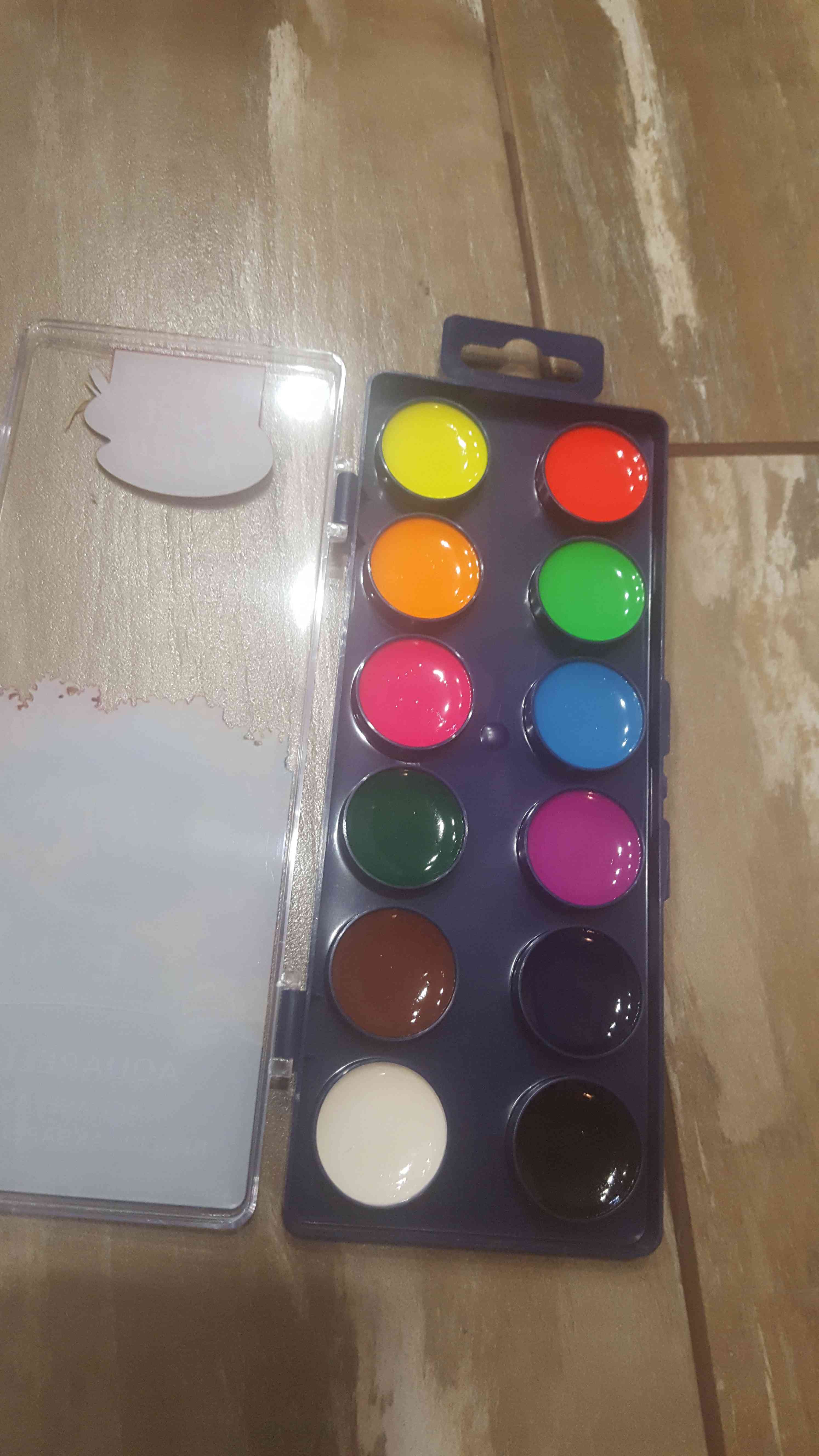 Фотография покупателя товара Акварель 12 цветов ErichKrause ArtBerry Neon, неоновая, с УФ-защитой, пластик, европодвес, без кисти - Фото 1