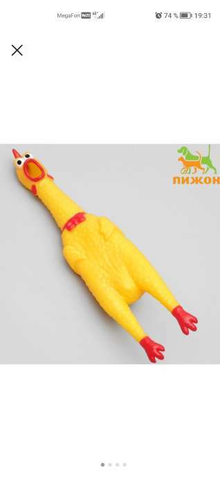 Фотография покупателя товара Игрушка пищащая "Задумчивая курица" для собак, 28 см, ярко-зелёная - Фото 6