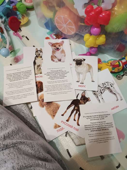 Фотография покупателя товара Обучающие карточки по методике Г. Домана «Собаки», 10 карт, А6