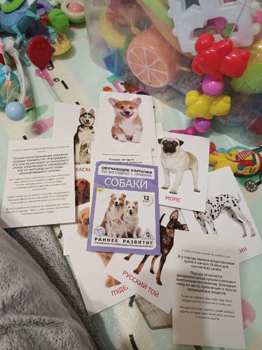 Фотография покупателя товара Обучающие карточки по методике Г. Домана «Собаки», 10 карт, А6 - Фото 1