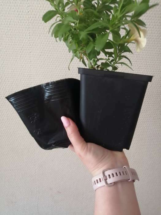 Фотография покупателя товара Горшки для рассады, 1 л, 13 × 11 × 8 см, полиэтилен толщиной 50 мкм, чёрный, Greengo - Фото 5
