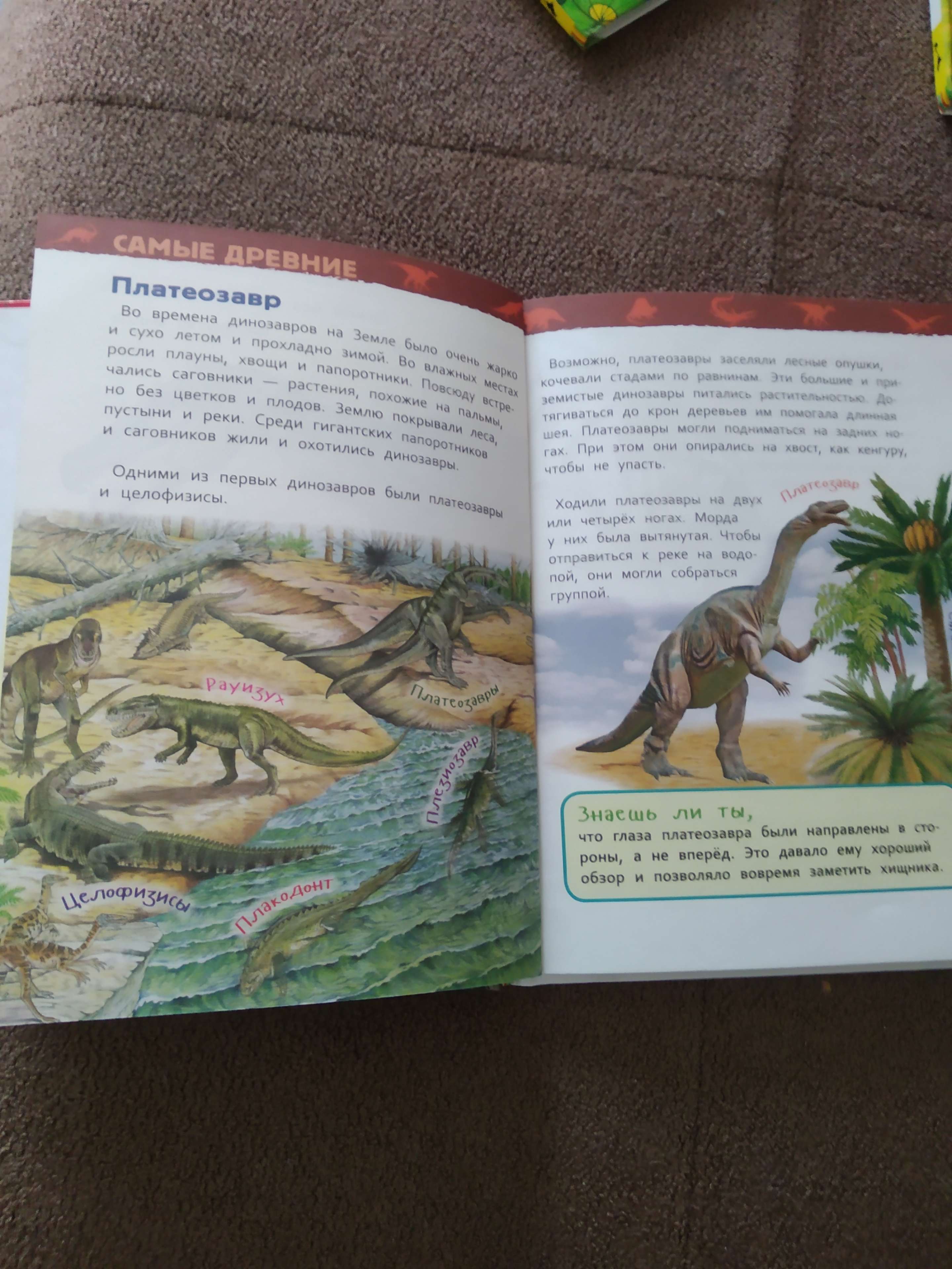 Фотография покупателя товара Энциклопедия для детского сада «Динозавры»