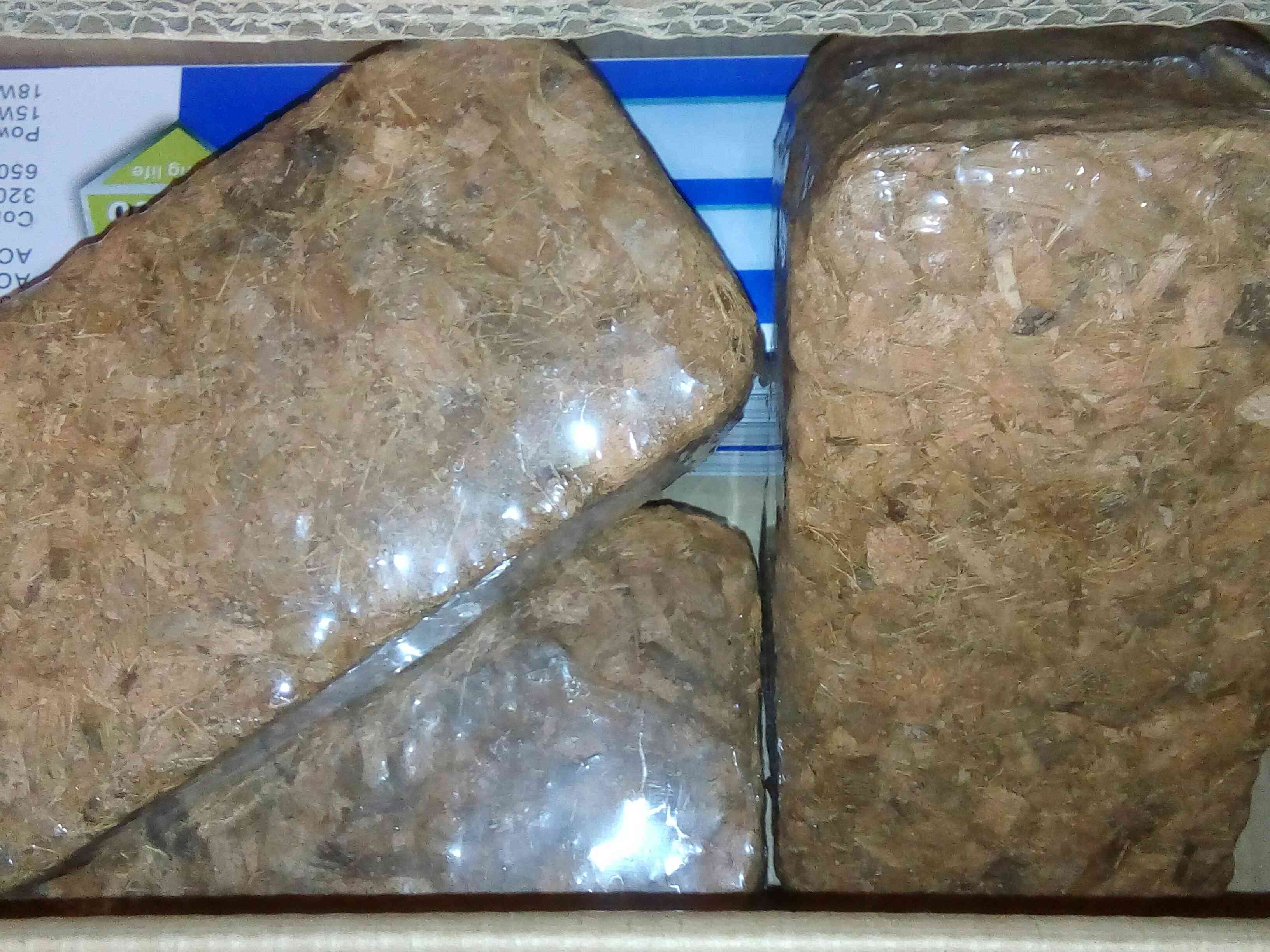 Фотография покупателя товара Субстрат кокосовый (чипсы) в блоке, 21 × 11 × 7 см, 4,5 л, индивидуальная упаковка - Фото 8