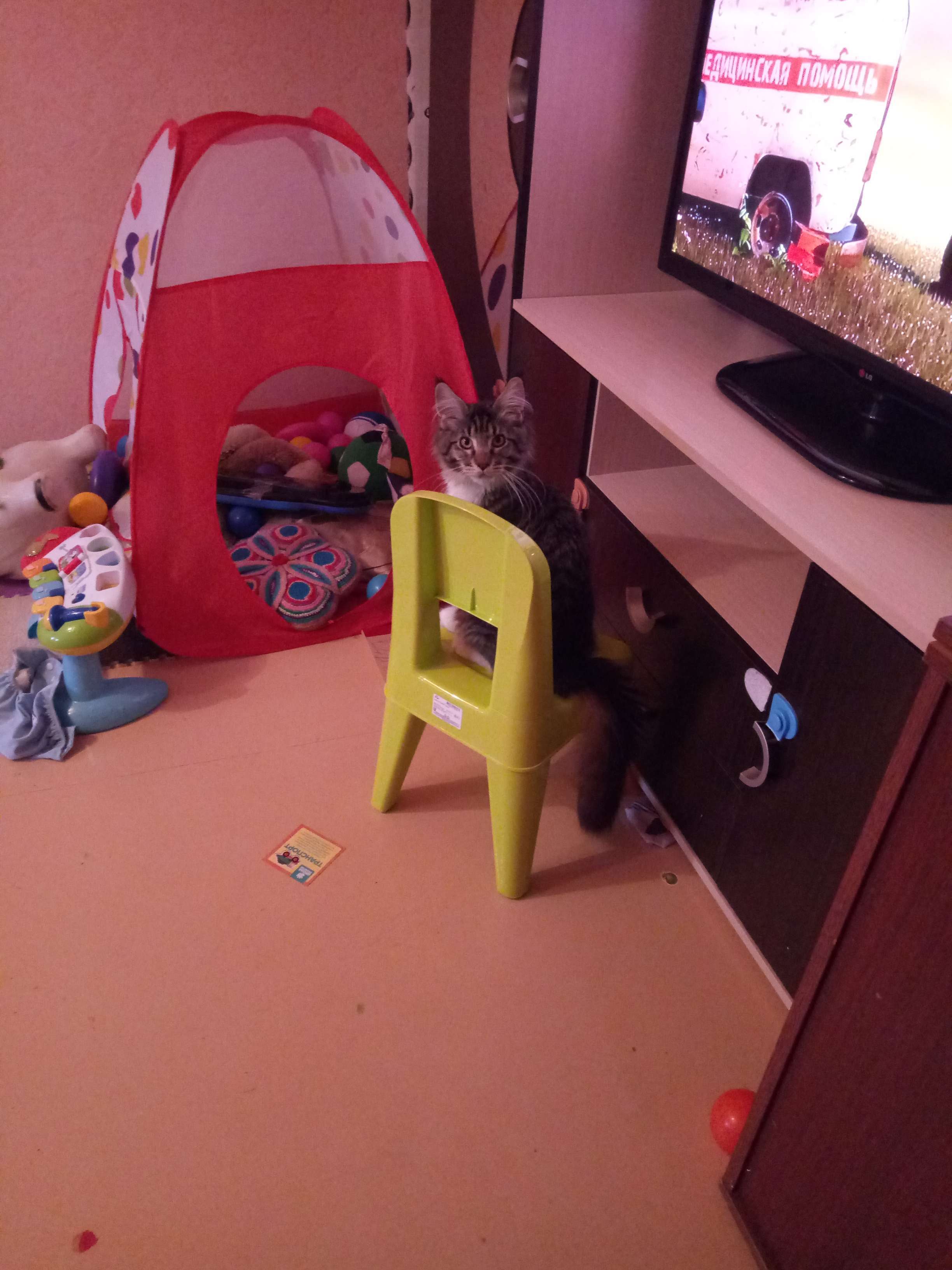 Фотография покупателя товара Детский стул «Я расту», цвет салатовый