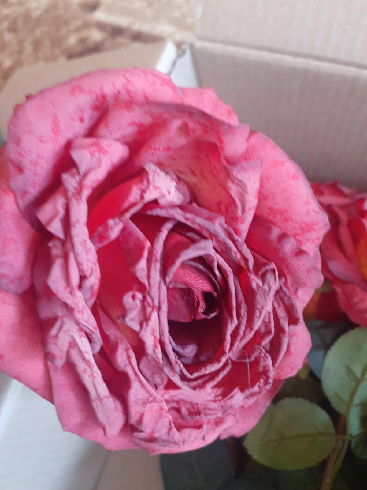 Фотография покупателя товара Цветы искусственные "Роза эстетик" 10х49 см, красный - Фото 5