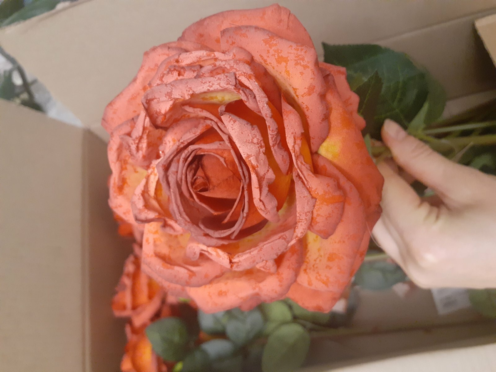 Фотография покупателя товара Цветы искусственные "Роза эстетик" 10х49 см, красный - Фото 7