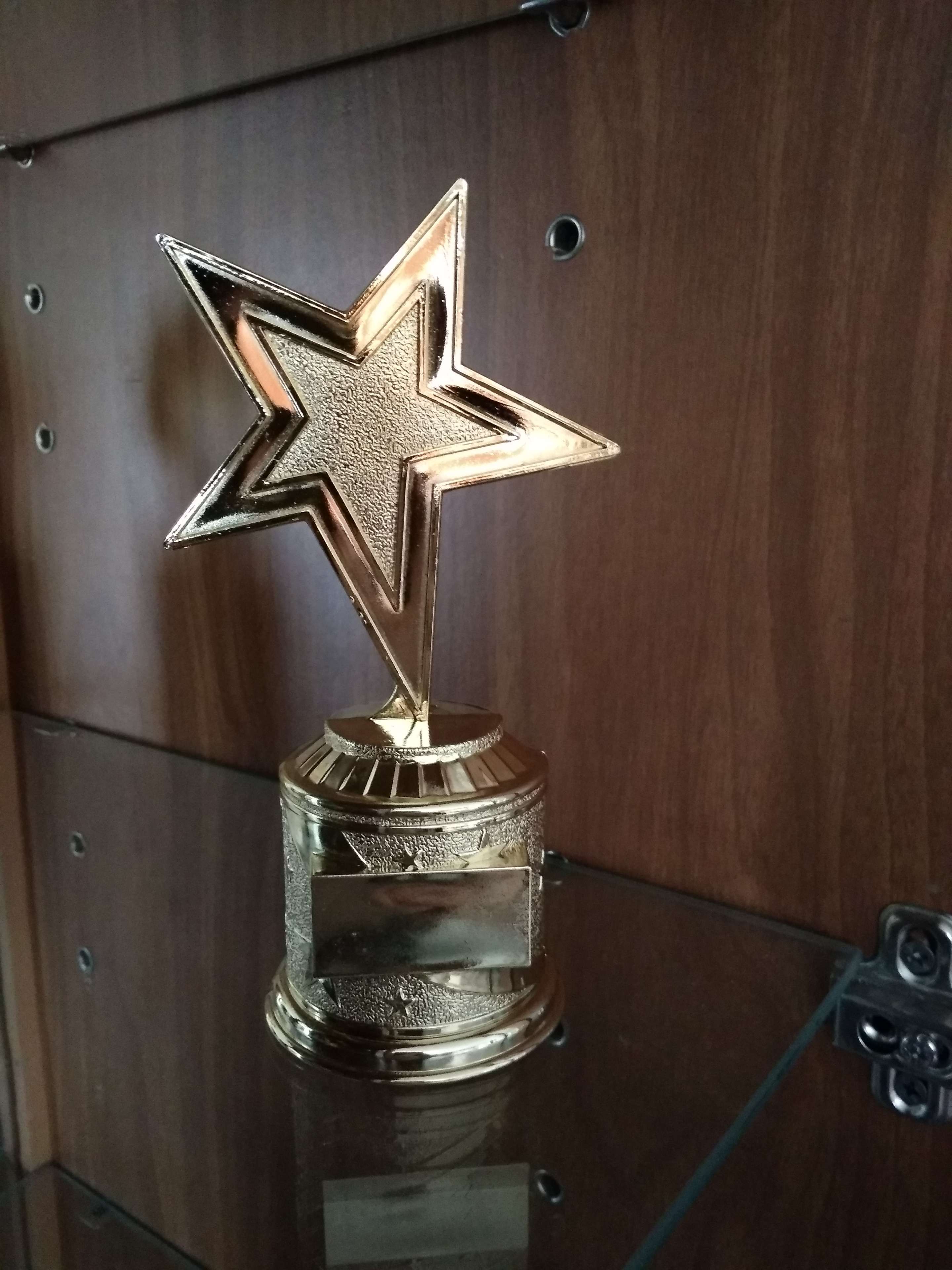 Фотография покупателя товара Наградная фигура литая под нанесение «Звезда», золото, 16 х 6 х 8,5 см - Фото 7
