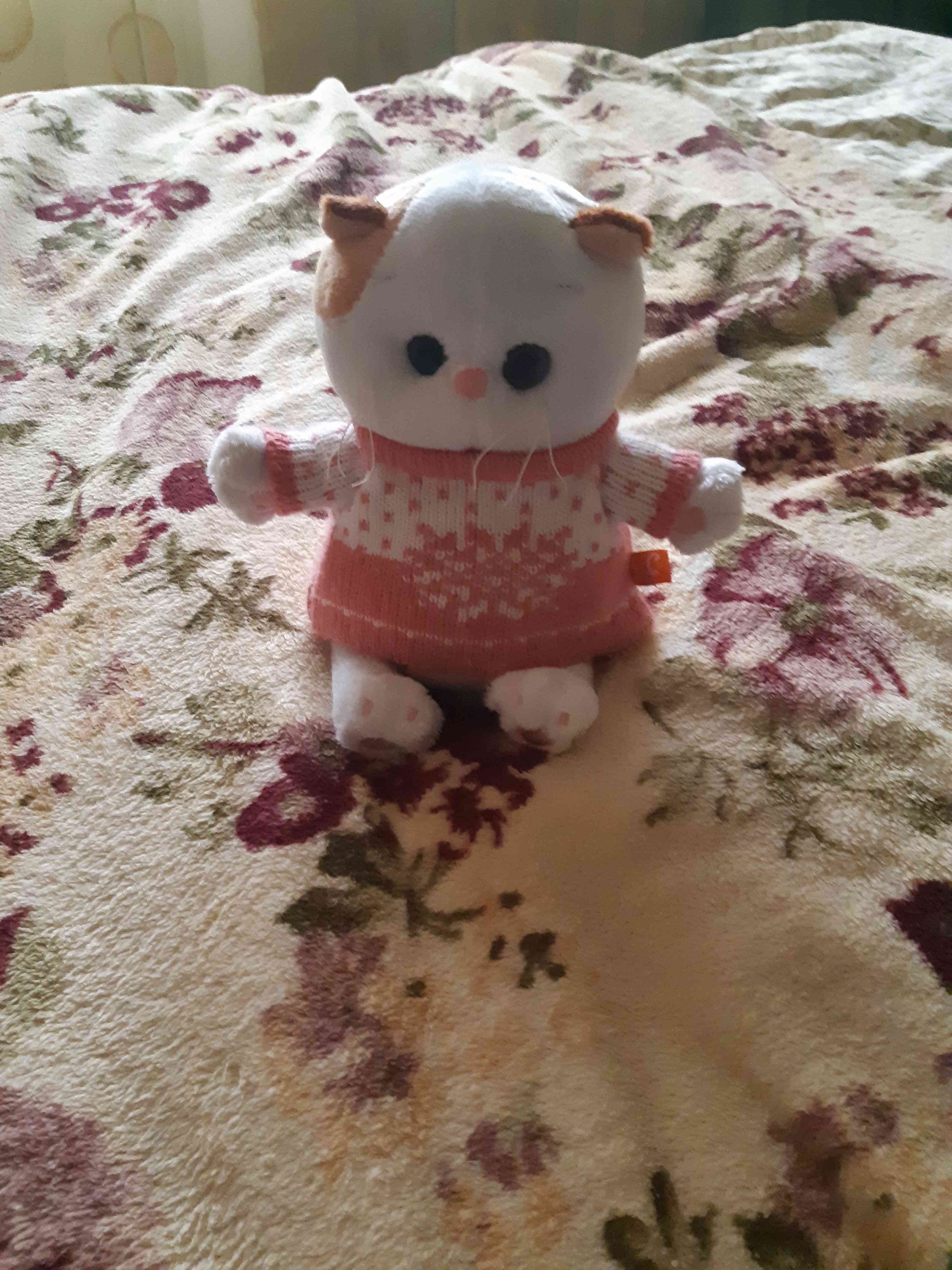Фотография покупателя товара Мягкая игрушка «Кошечка Ли-Ли BABY» в свитере, 20 см - Фото 1