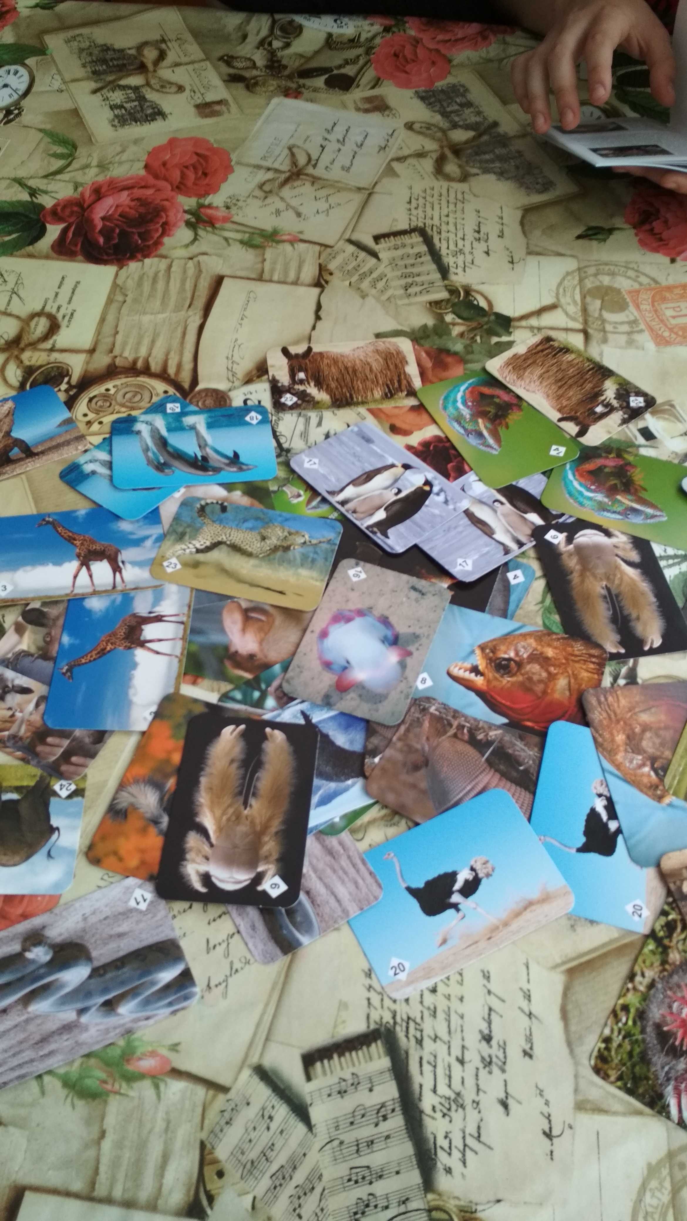 Фотография покупателя товара Настольная игра «Мемо. Удивительные животные», 50 карточек + познавательная брошюра - Фото 7