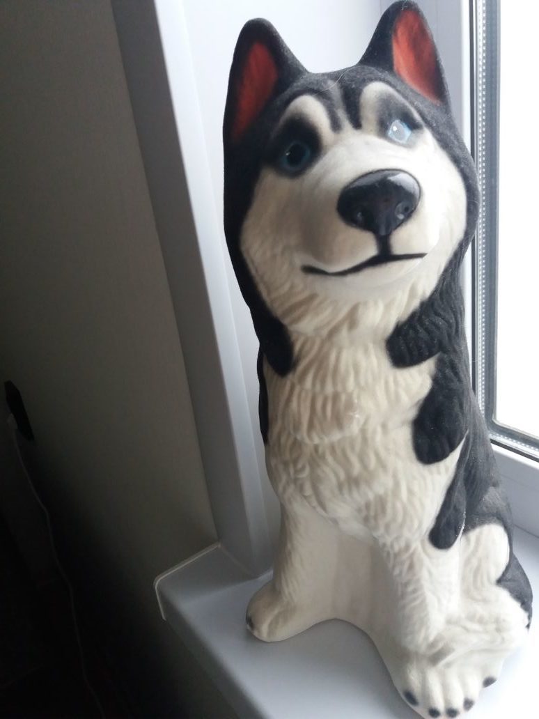 Фотография покупателя товара Копилка "Собака Хаски", белый цвет, флок, керамика, 39 см - Фото 5