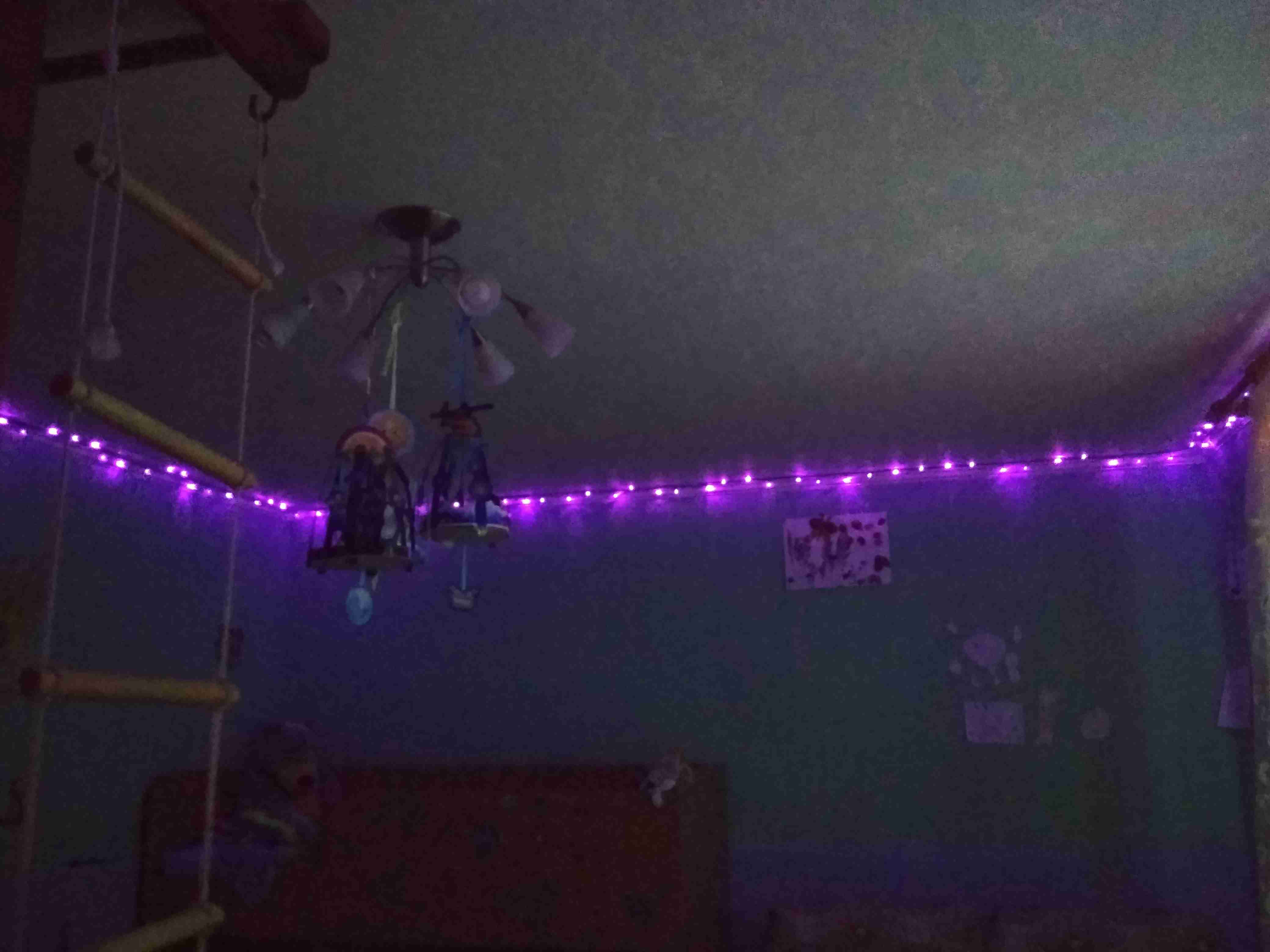 Фотография покупателя товара Гирлянда «Нить» 10 м, IP20, прозрачная нить, 100 LED, свечение фиолетовое, 8 режимов, 220 В - Фото 284