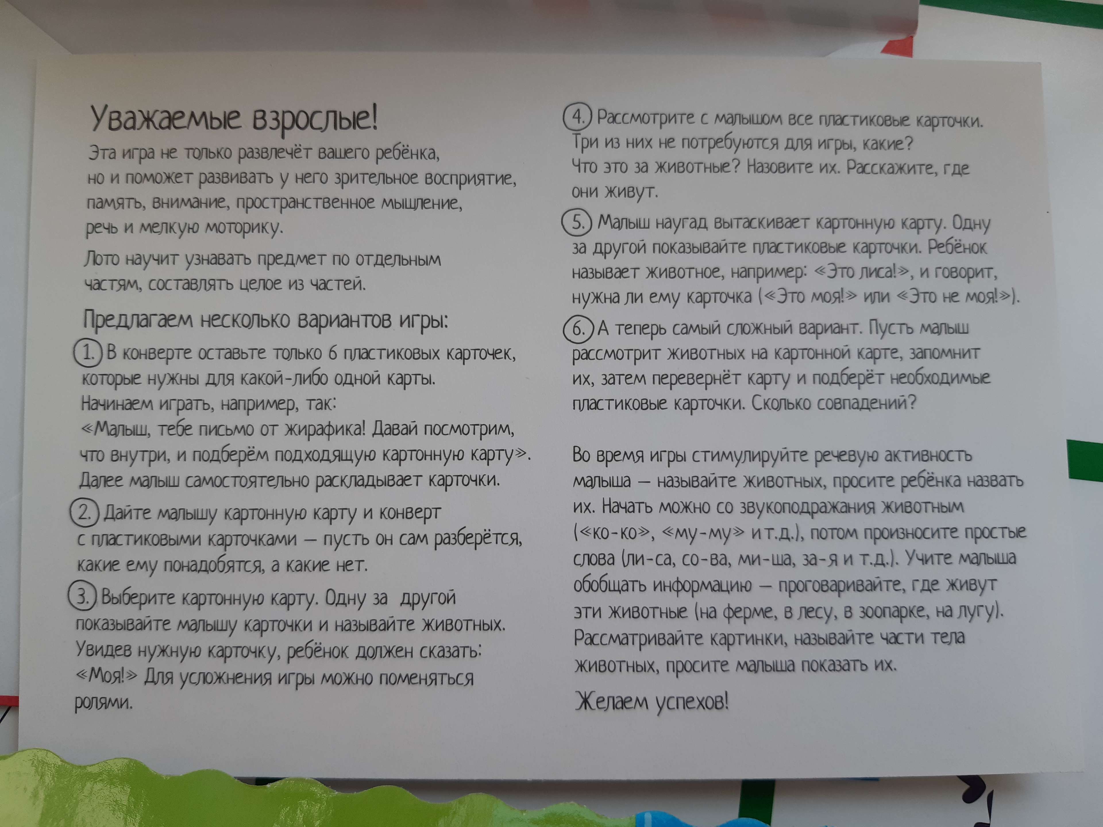 Пластиковое лото «Угадай, кто это? Найди половинку» (4582958) - Купить по  цене от 280.00 руб. | Интернет магазин SIMA-LAND.RU