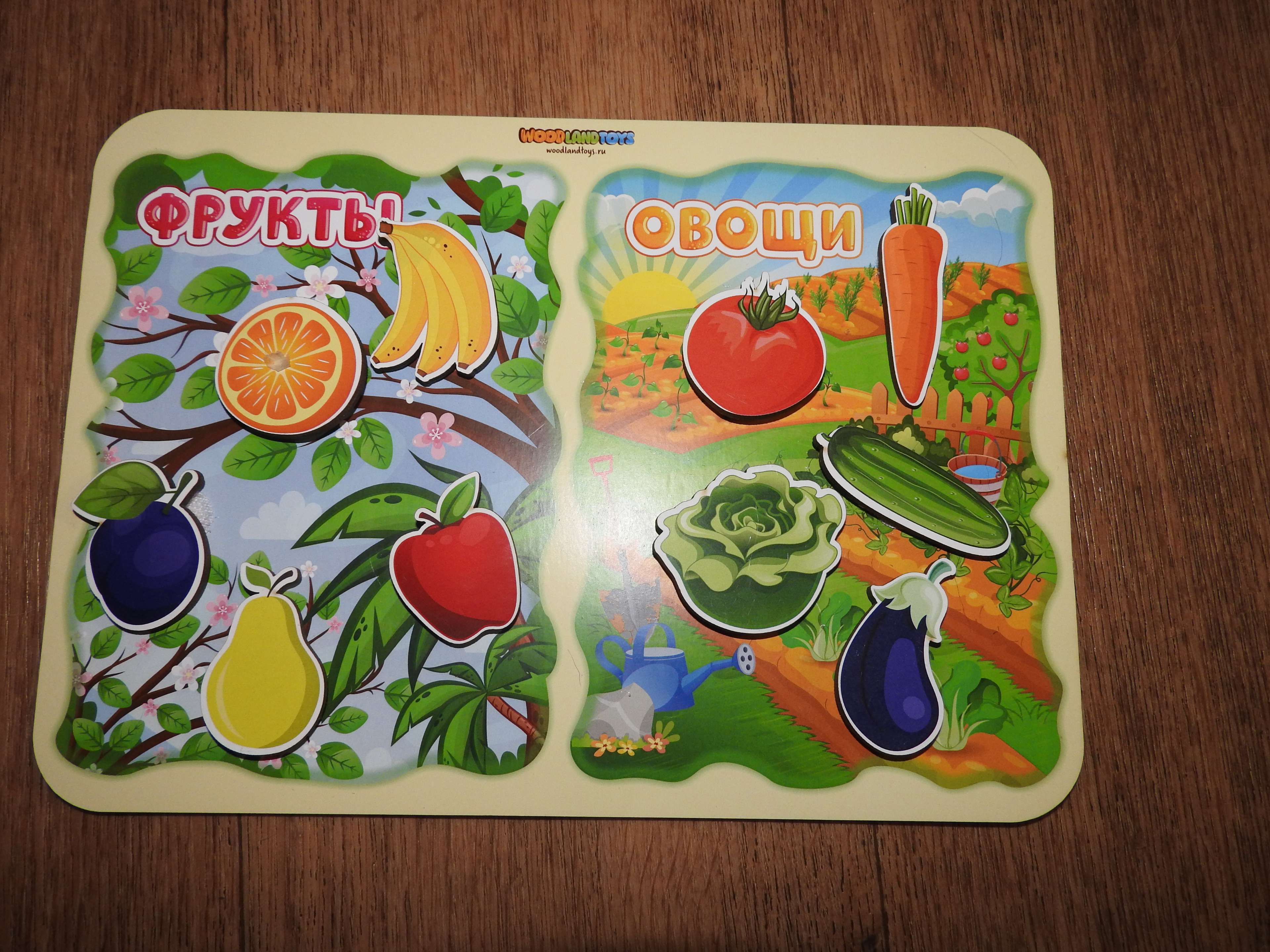 Фотография покупателя товара Сортер «Какая разница? Фрукты-овощи», на липучках - Фото 8