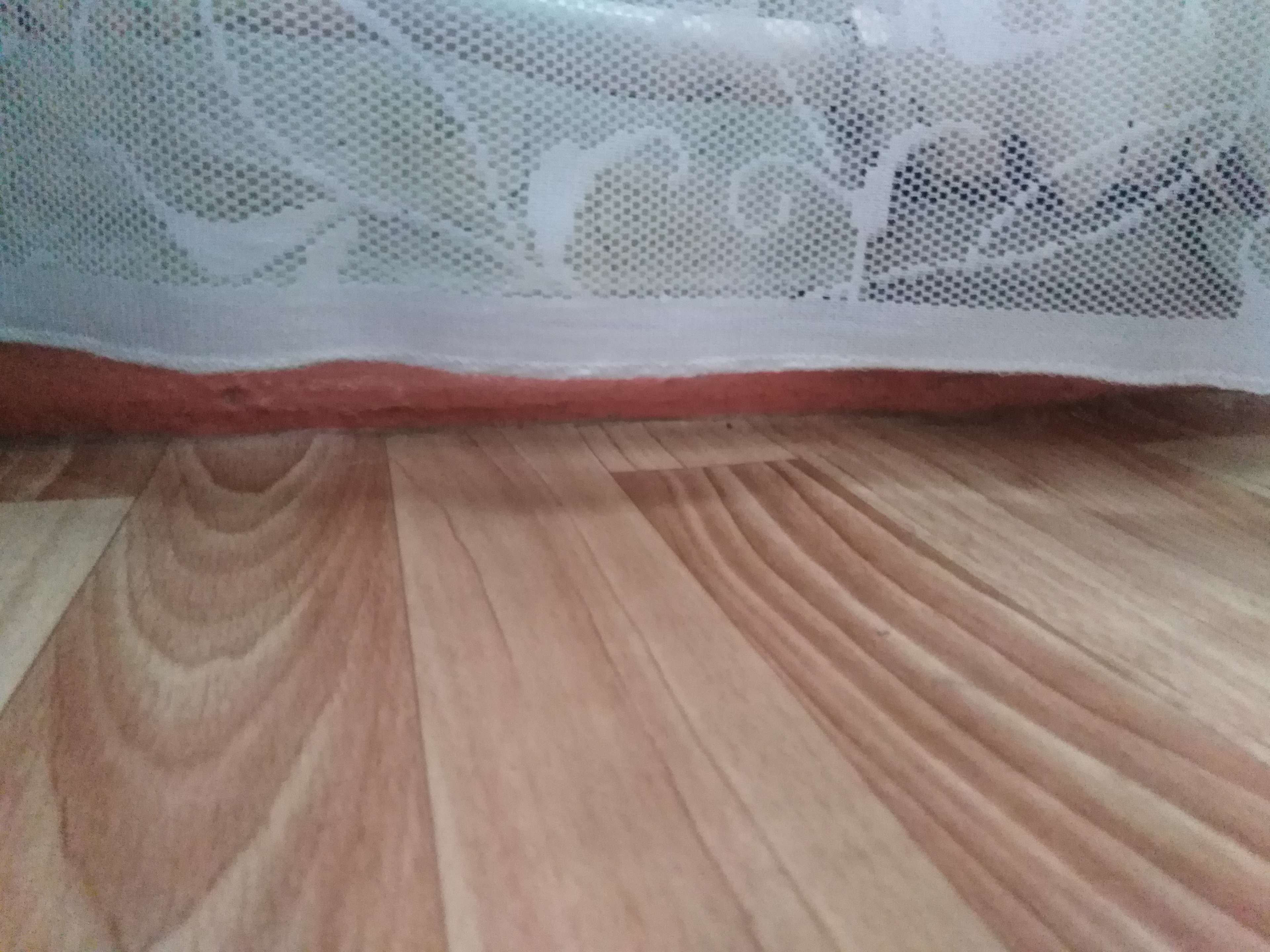 Фотография покупателя товара Тюль на шторной ленте, 145х250 см, цвет белый, 100% полиэстер - Фото 5