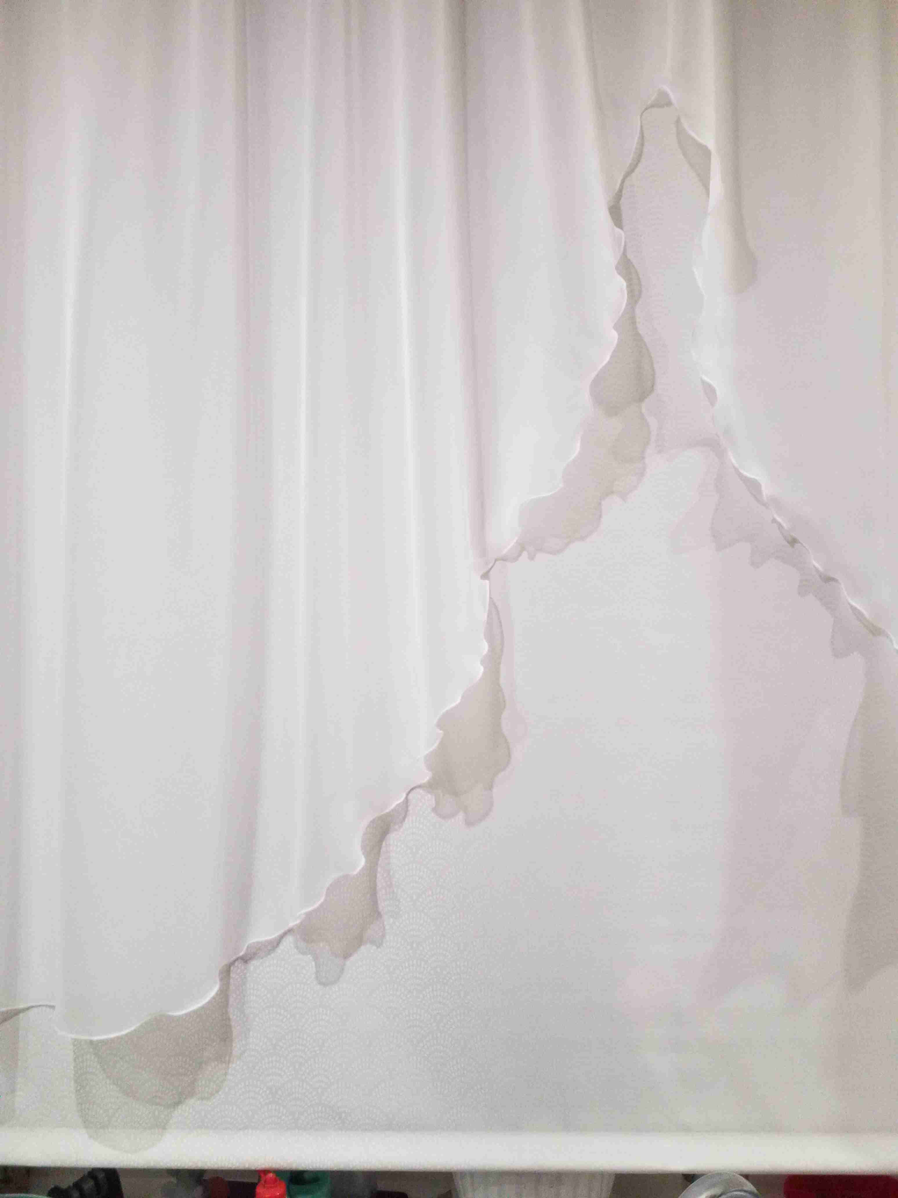 Фотография покупателя товара Рулонная штора «Дольче Вита», размер 40х160 см, цвет шампань - Фото 1