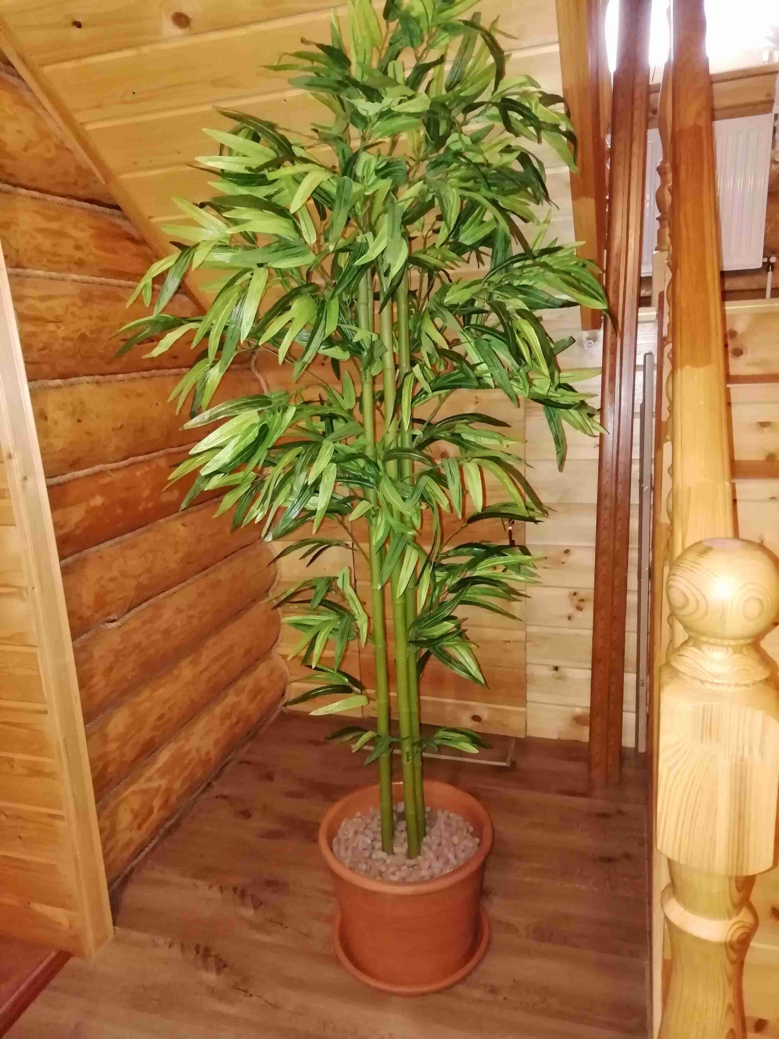 Фотография покупателя товара дерево искусственное 140 см бамбук