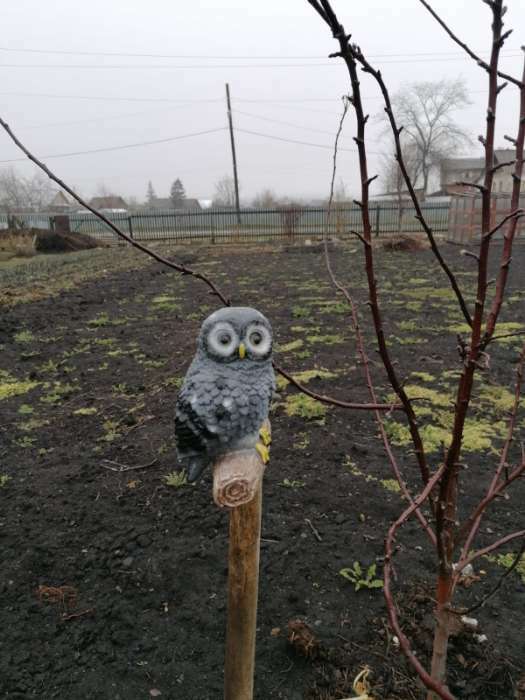 Фотография покупателя товара Подвесной декор "Сова на ветке" 10х14х21см, МИКС серый - Фото 2