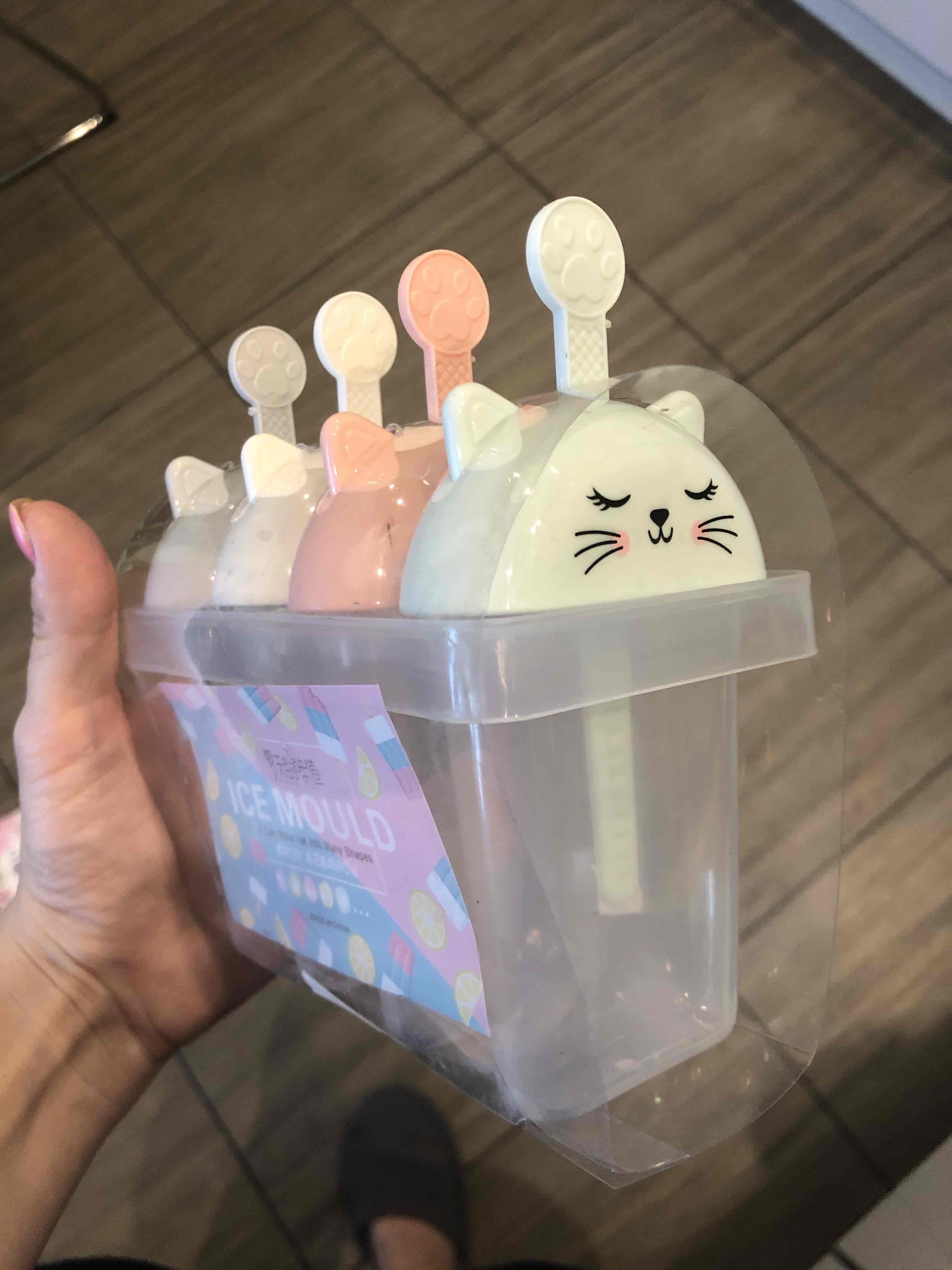 Фотография покупателя товара Форма для мороженого «Кис-кис», 15×9×15 см, 4 ячейки, цвет МИКС - Фото 3