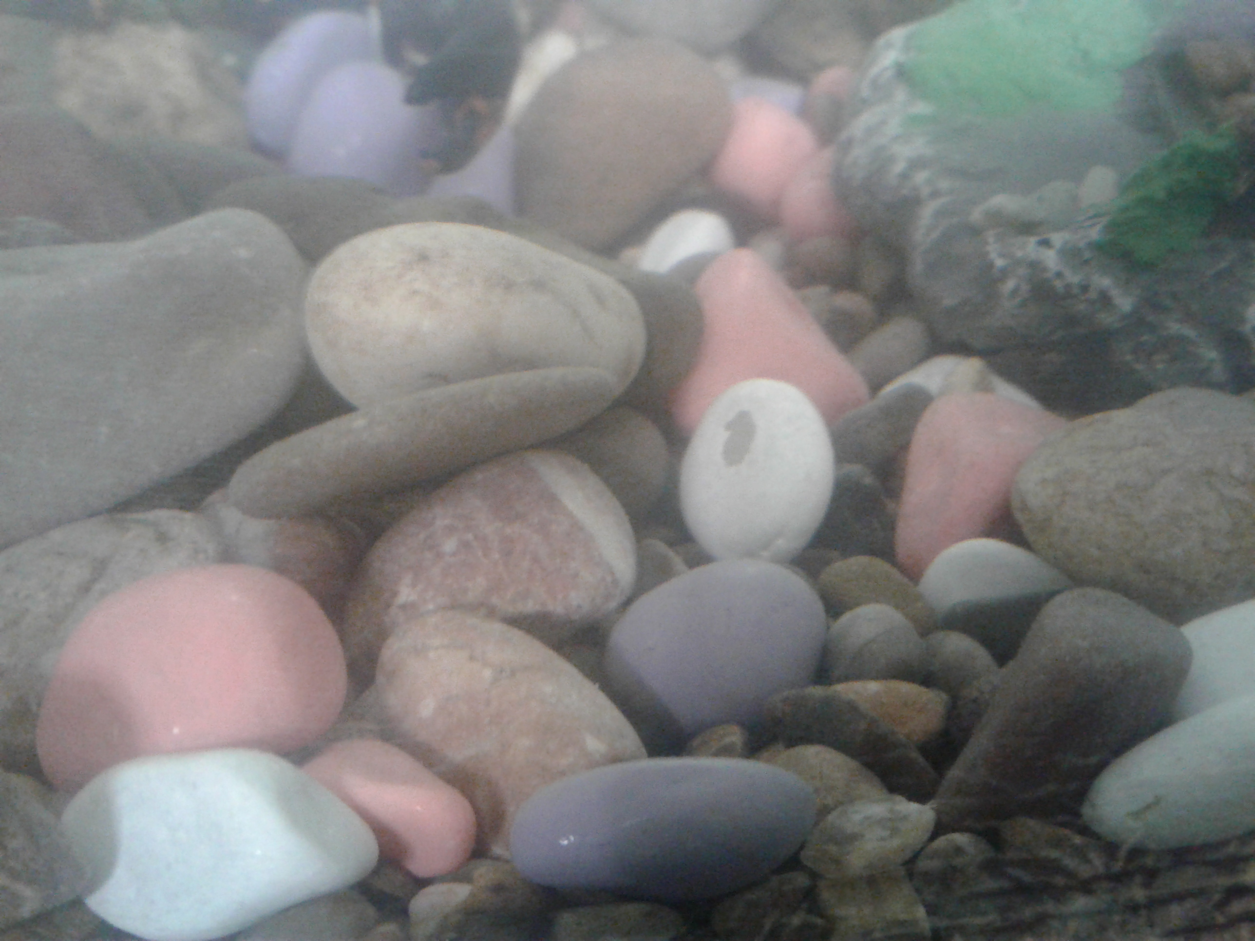 Фотография покупателя товара Грунт для аквариума "Галька цветная,  сиреневый-белый-розовый-фиолетовый" 800 г фр 8-12 мм