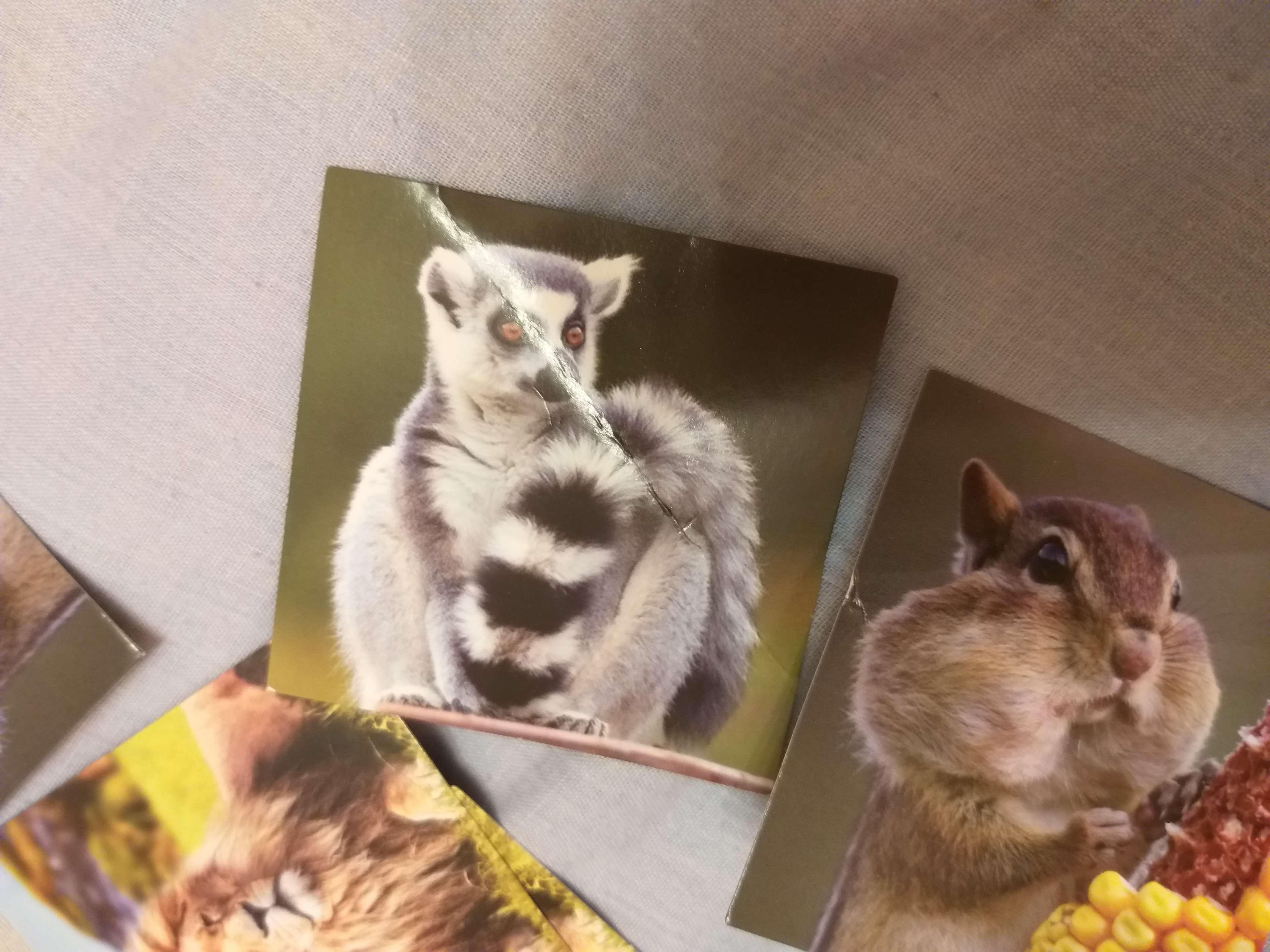 Фотография покупателя товара Настольная игра «Мемо. Мир животных», 28 карт, 3+ - Фото 17