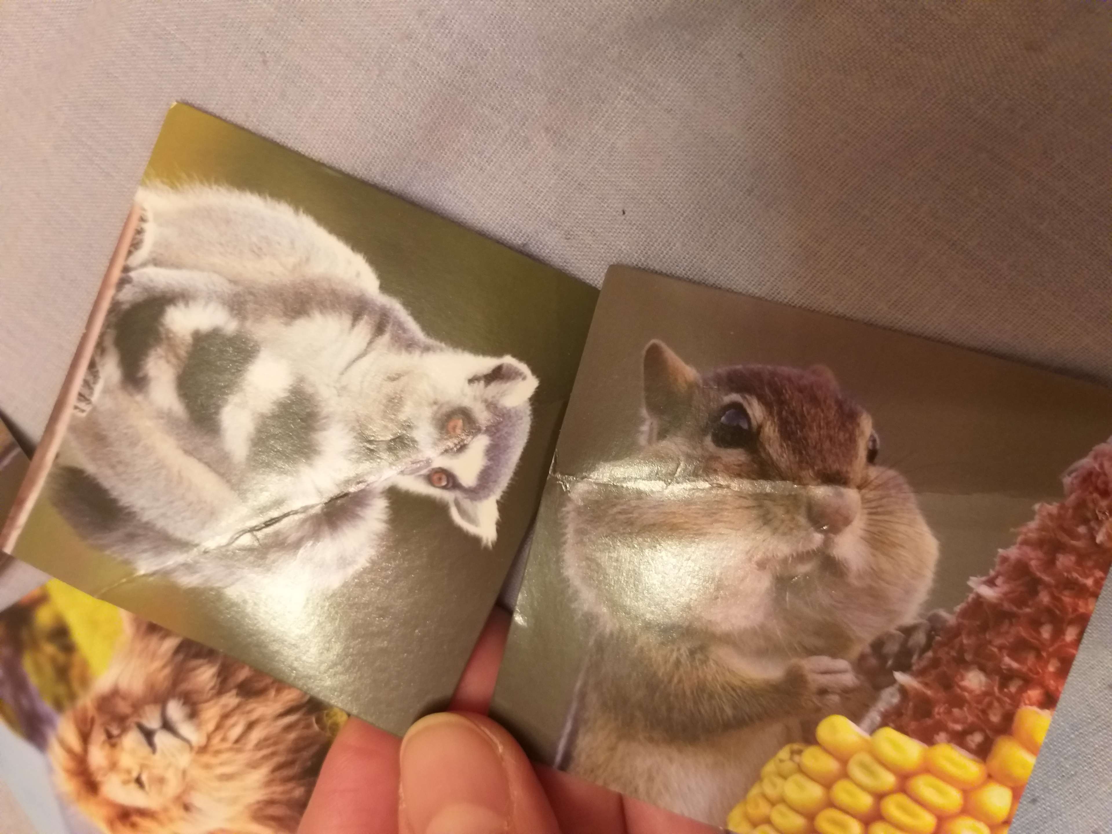 Фотография покупателя товара Настольная игра «Мемо. Мир животных», 28 карт, 3+ - Фото 5