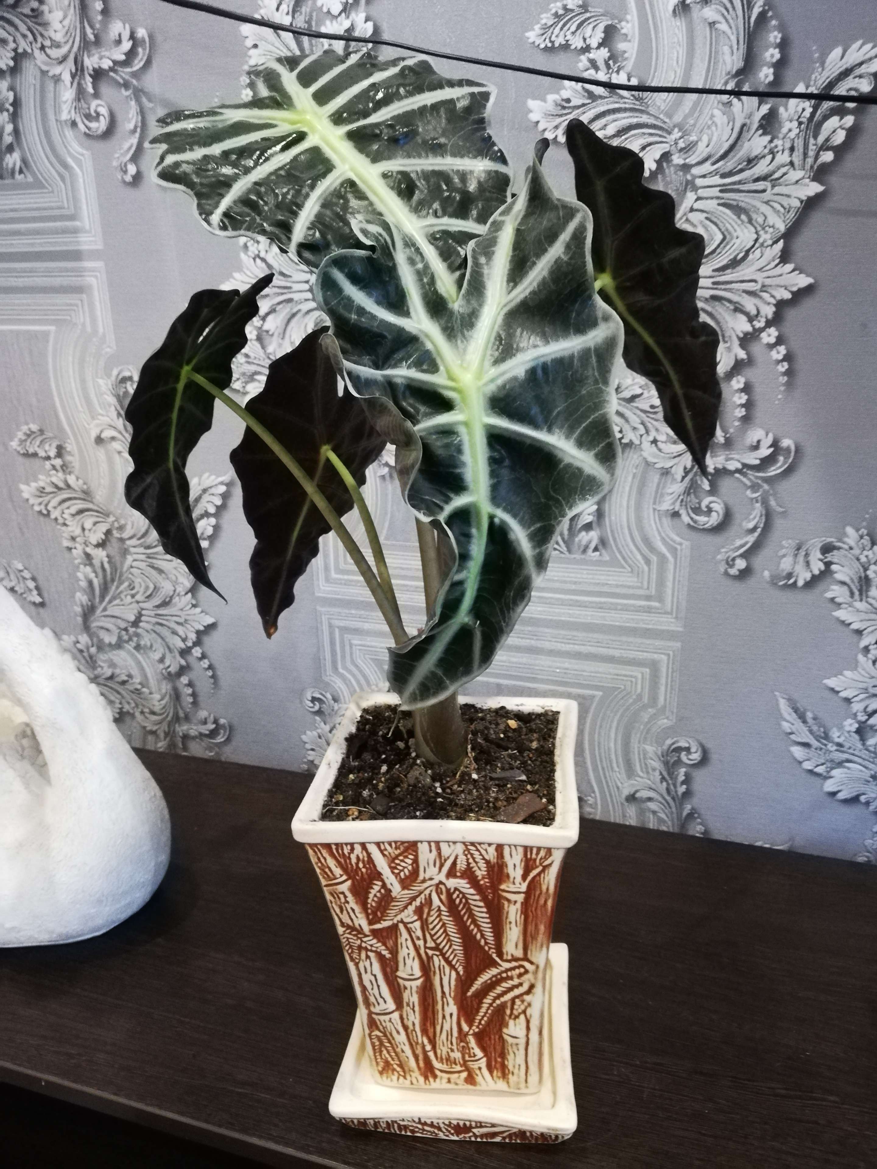 Фотография покупателя товара Горшок для цветов "Бамбук", под шамот, керамика, 2 л - Фото 1