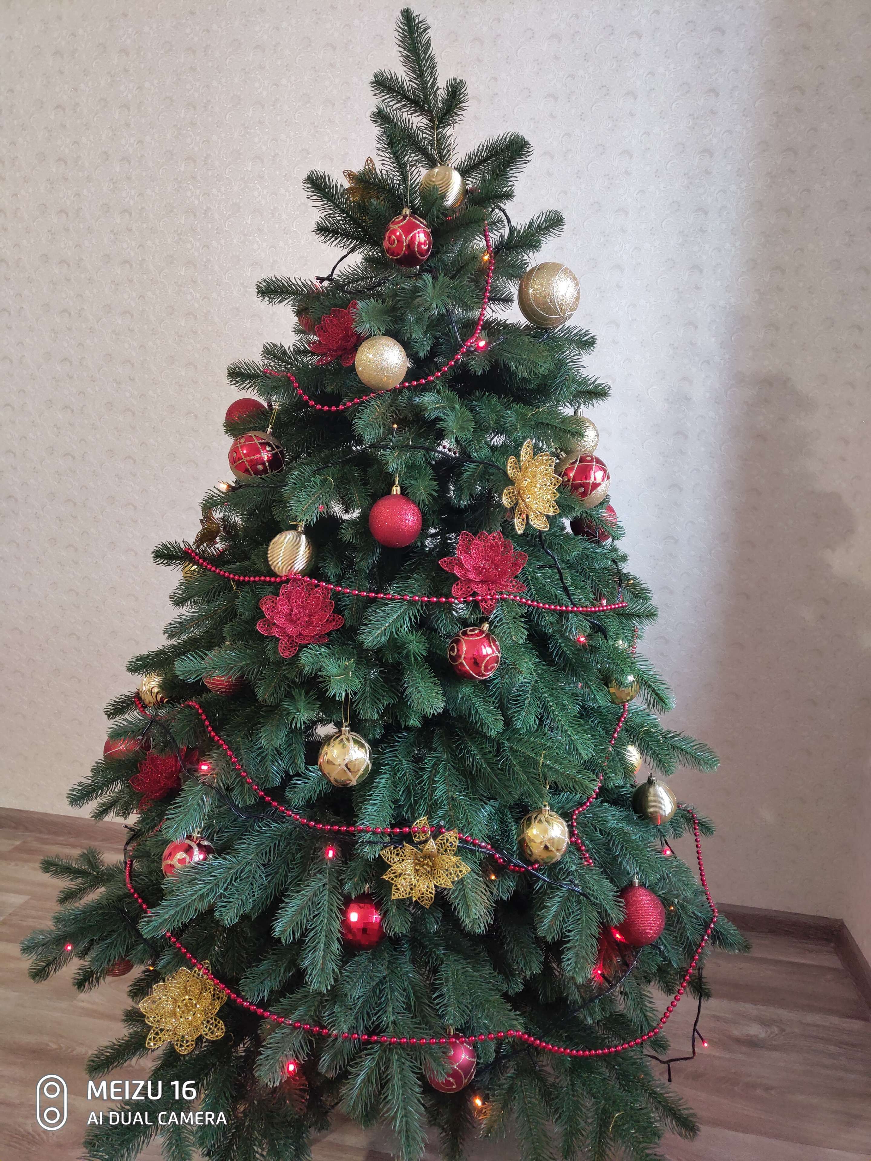 Фотография покупателя товара Искусственная ёлка литая Max Christmas «Купеческая», 180 см, d нижнего яруса 130 см, ветки шарнирные - Фото 9
