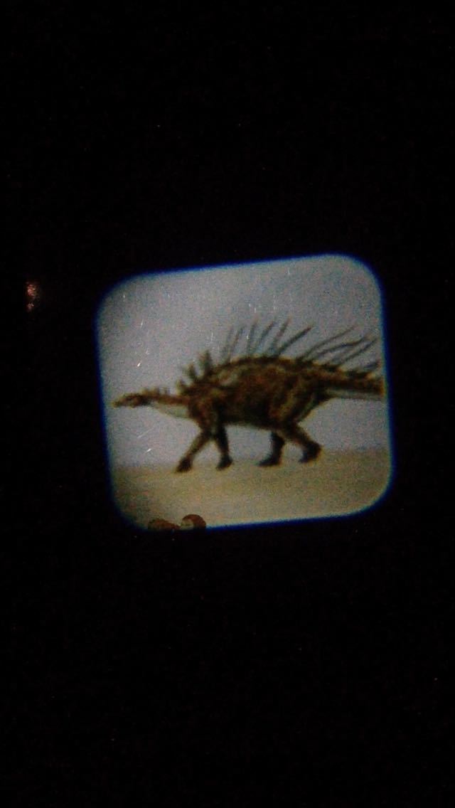 Фотография покупателя товара Проектор «Эра динозавров» со слайдами
