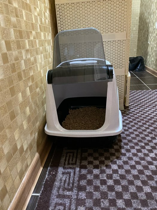 Фотография покупателя товара Туалет-домик для кошек закрытый с дверцей 50*38*37 см, бирюзово-серый - Фото 13