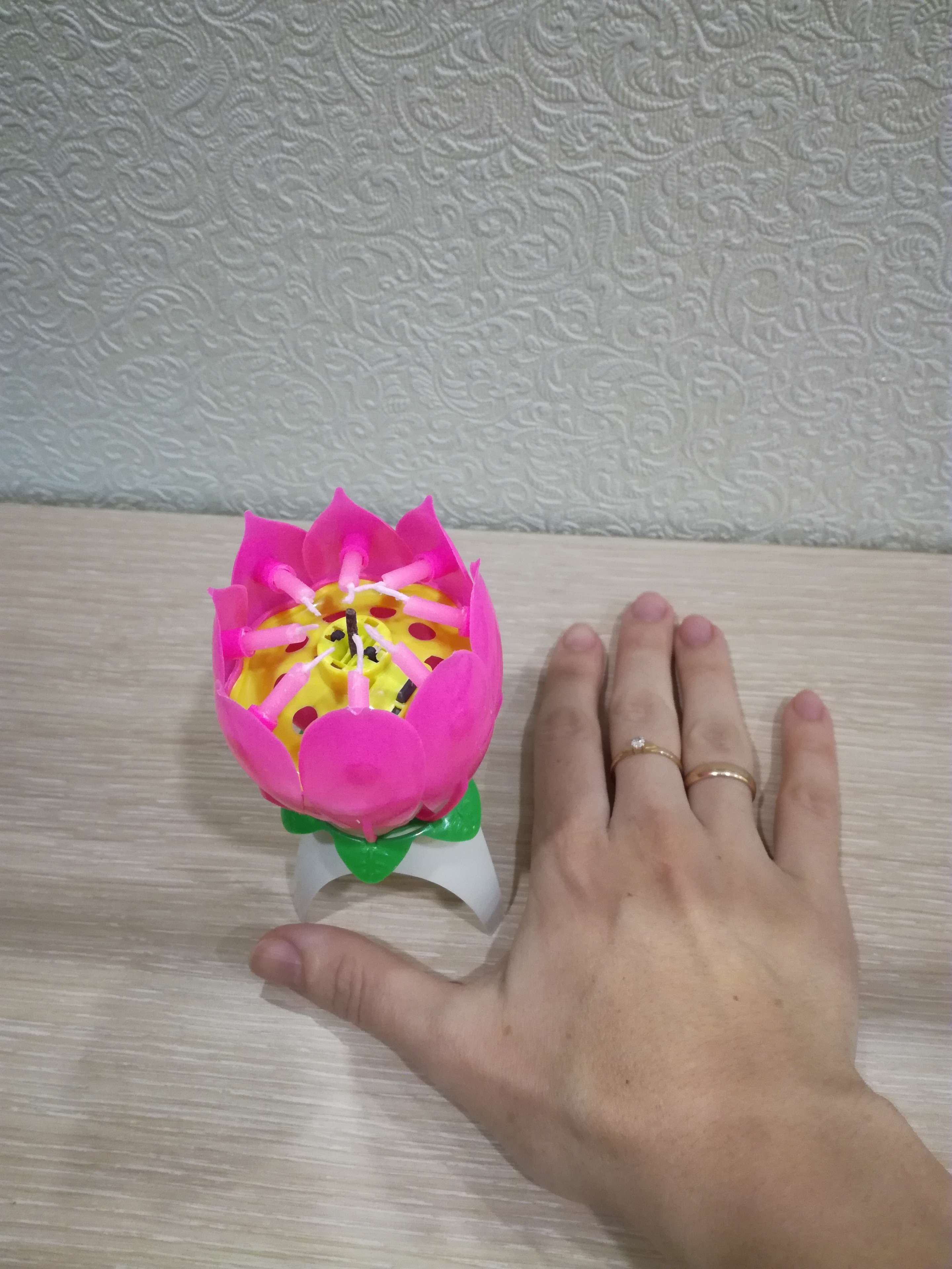Фотография покупателя товара Свеча для торта музыкальная "Тюльпан", розовая, 12×5 см - Фото 25