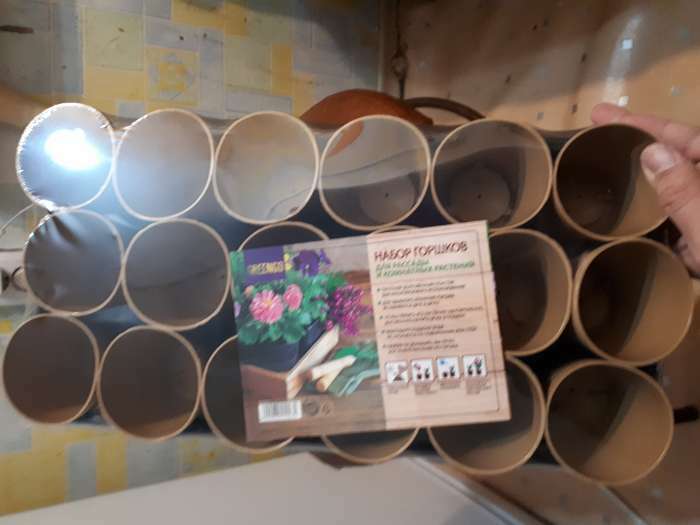 Фотография покупателя товара Набор для рассады: стаканы по 250 мл (18 шт.), поддон 40×20 см, цвет МИКС, Greengo - Фото 7