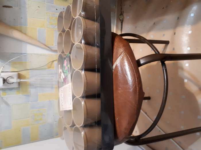 Фотография покупателя товара Набор для рассады: стаканы по 250 мл (18 шт.), поддон 40×20 см, цвет МИКС, Greengo - Фото 6