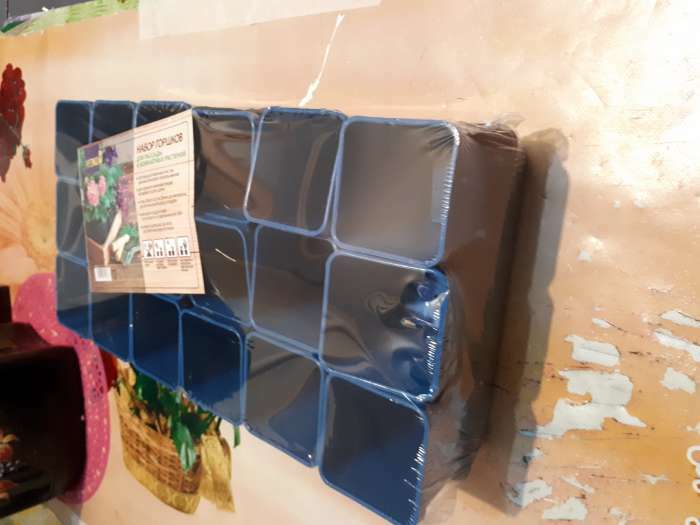 Фотография покупателя товара Набор для рассады: стаканы по 200 мл (18 шт.), поддон 36.5×17 см, цвет МИКС, Greengo