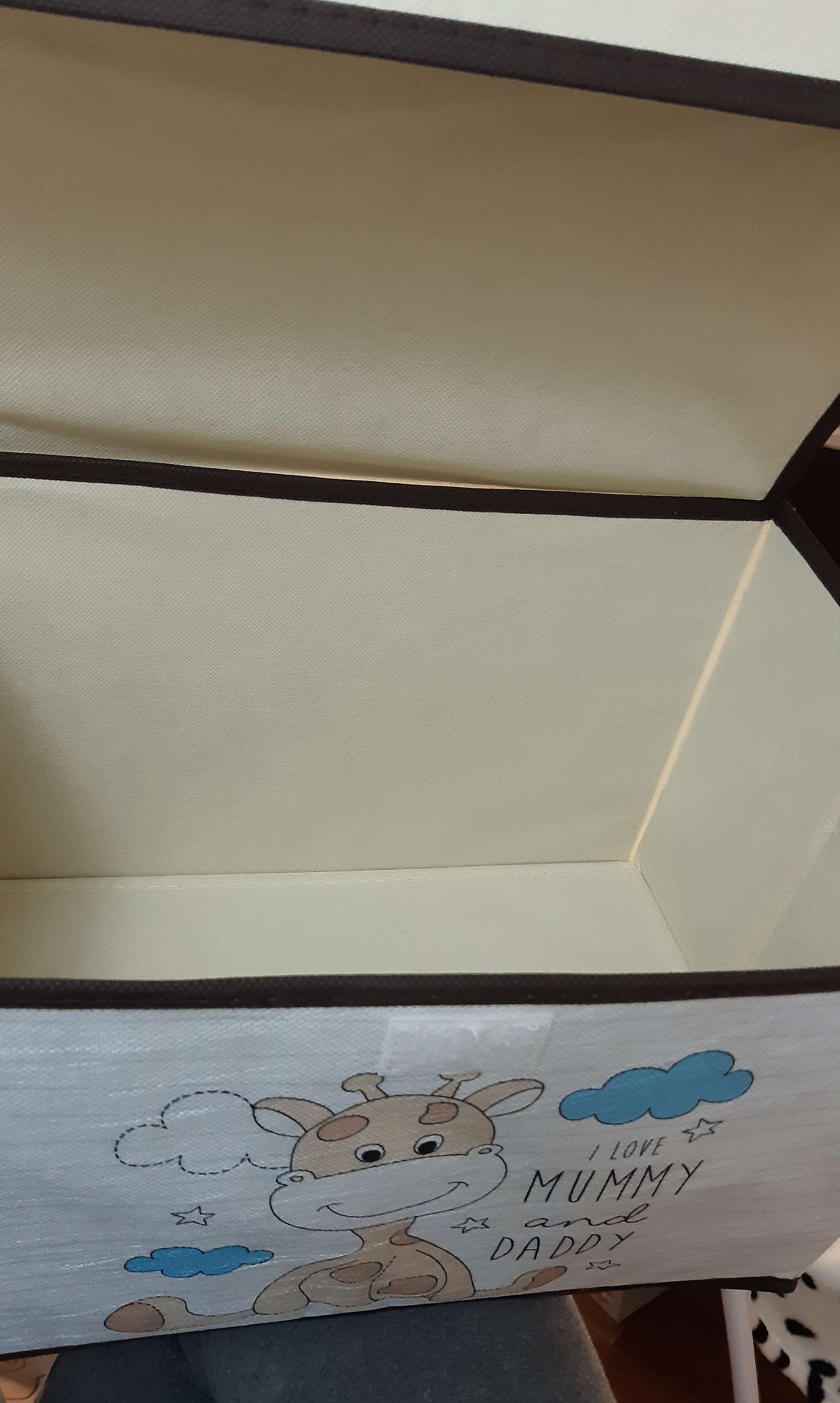 Фотография покупателя товара Короб стеллажный для хранения с крышкой «Жирафик», 38×25×24 см - Фото 3