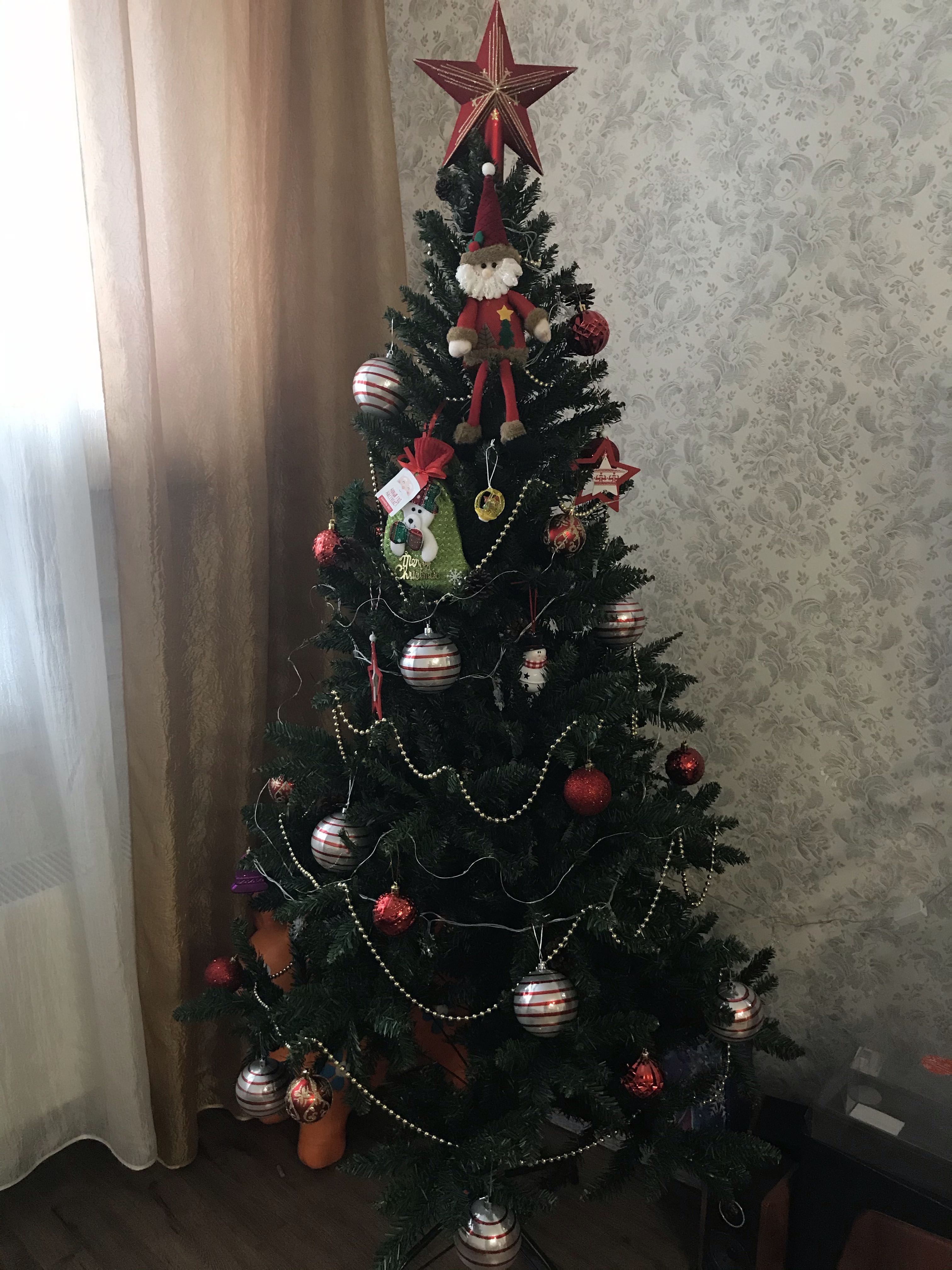 Фотография покупателя товара Набор шаров пластик d-6 см, 12 шт "Цветение" красный - Фото 3