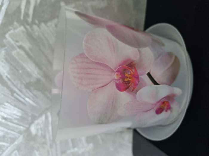 Фотография покупателя товара Горшок для орхидей с поддоном IDEA «Деко», 1.2 л, пластиковый, белый - Фото 1