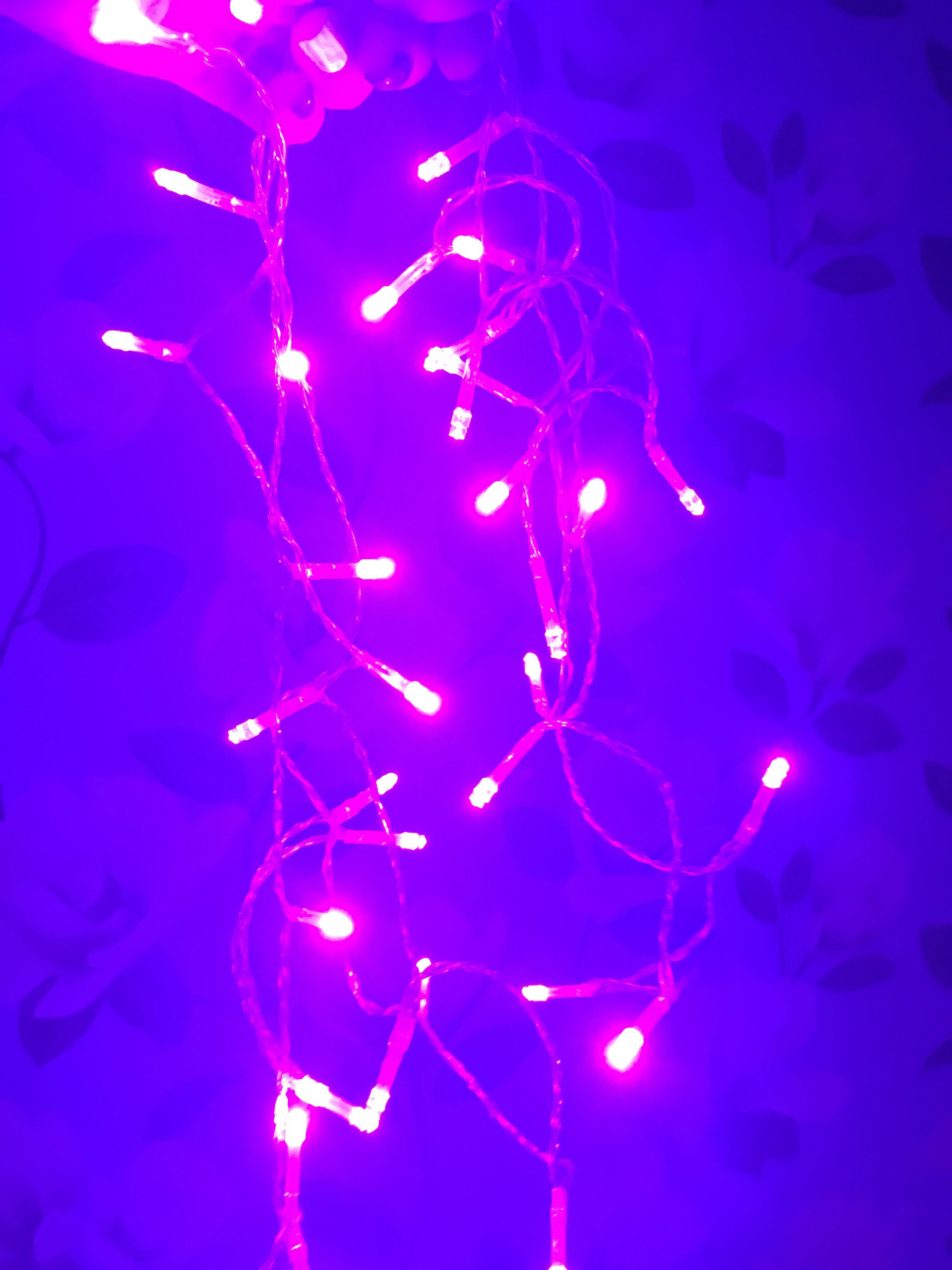 Фотография покупателя товара Гирлянда «Нить» 2 м, IP20, прозрачная нить, 20 LED, свечение фиолетовое, 2 режима, AAх3 - Фото 14